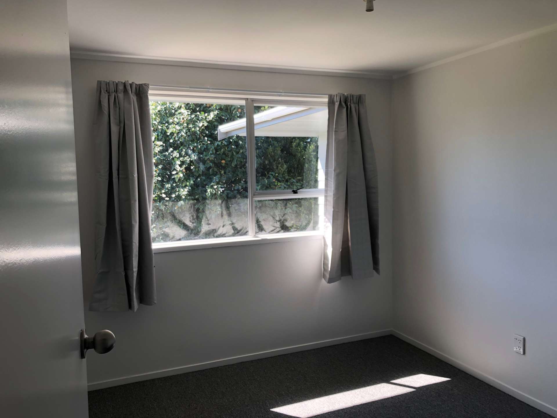 33 Puriri Street photo 7