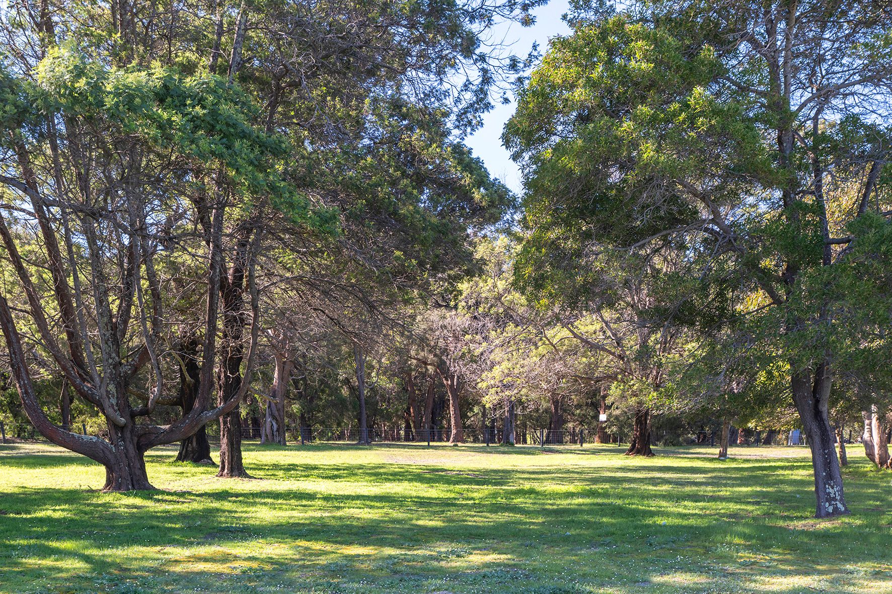26 Hebrides Close, Quindalup, WA 6281