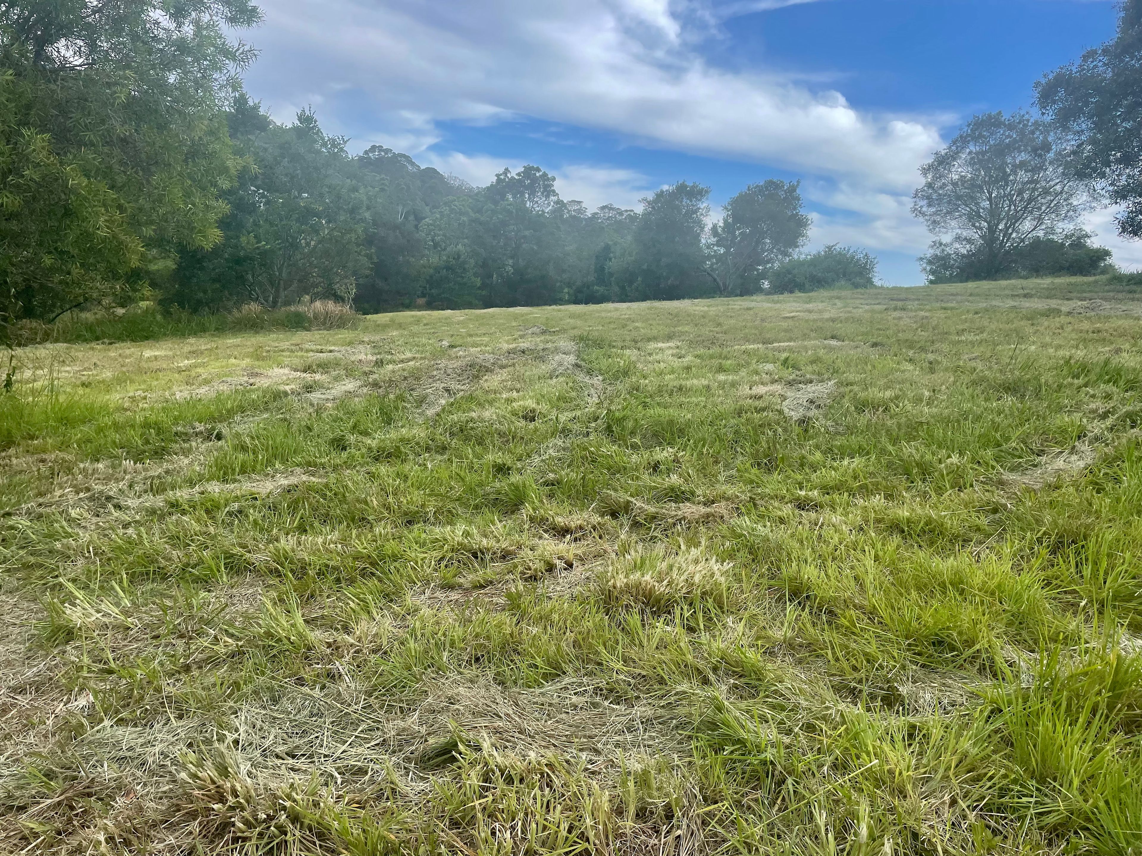 Ocean View, QLD 4521 Sold Land Ray White Rural Dayboro Eumundi