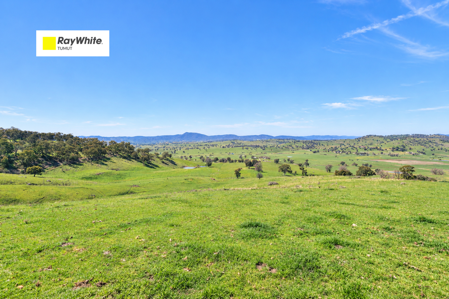 Part 1169 Grahamstown Road — photo from Ray White Tumut