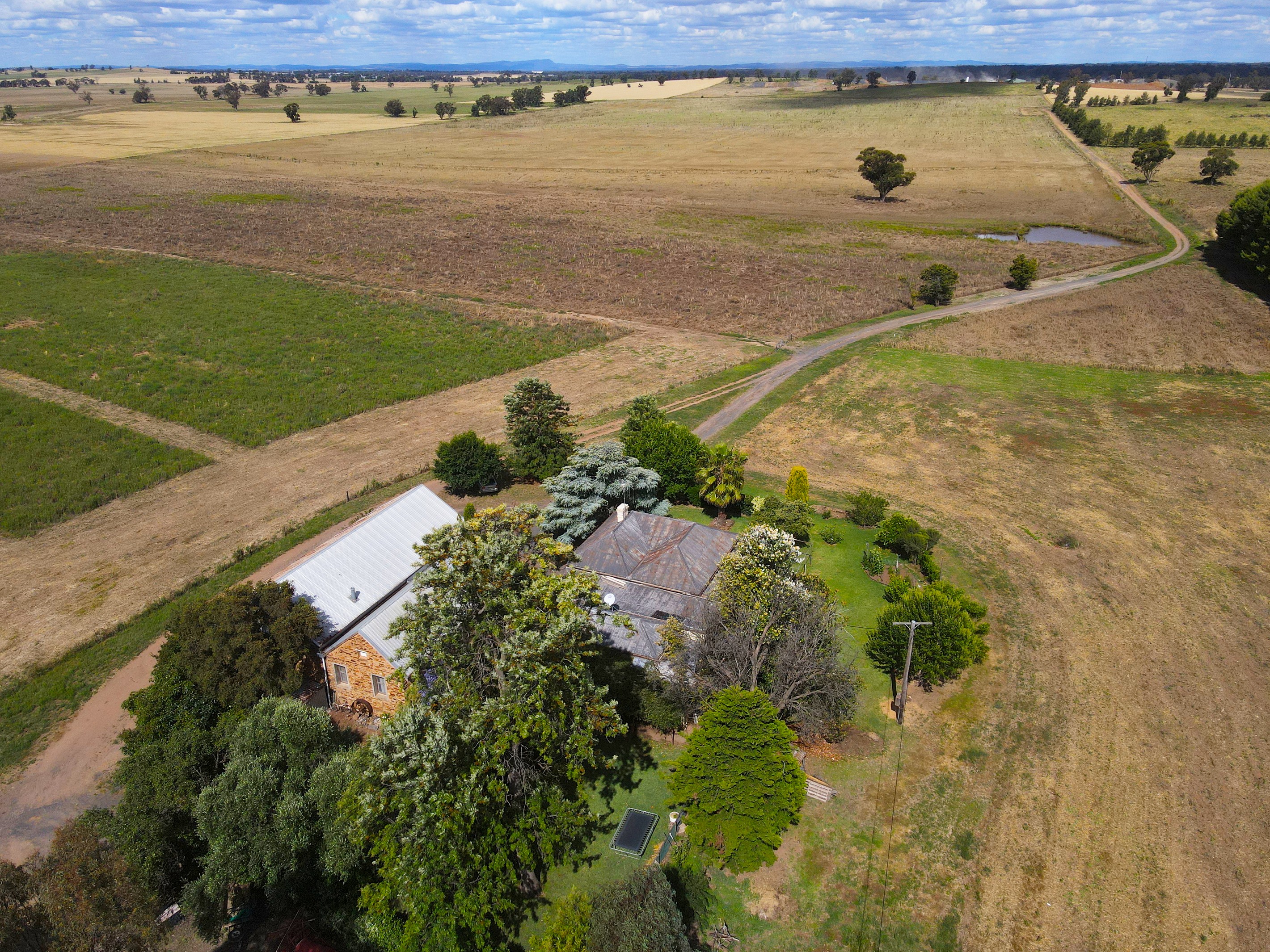 64 Allbett Lane, Forbes, NSW 2871