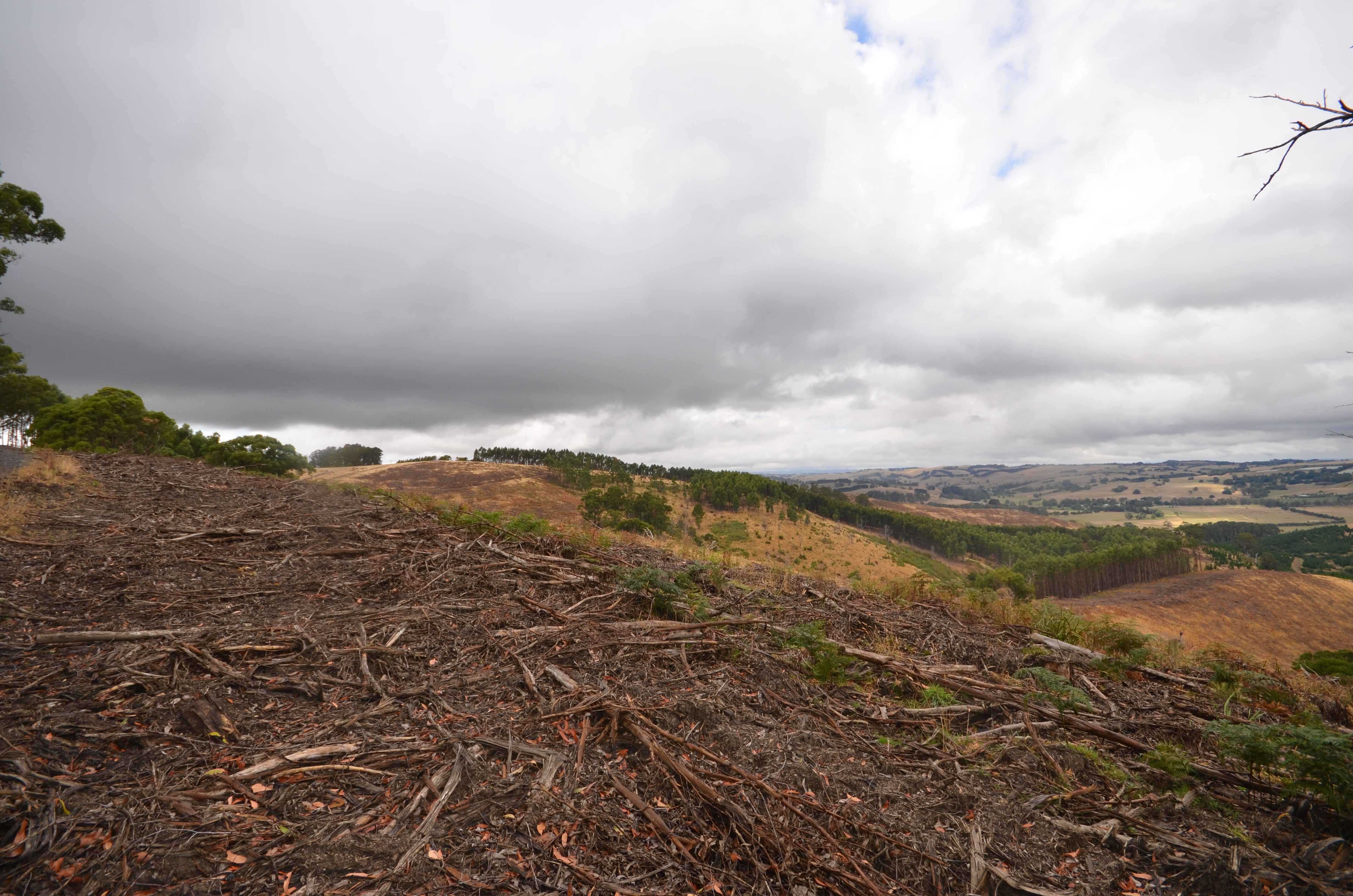 'Kenny' 428 Forresters Road, Hallston, VIC 3953