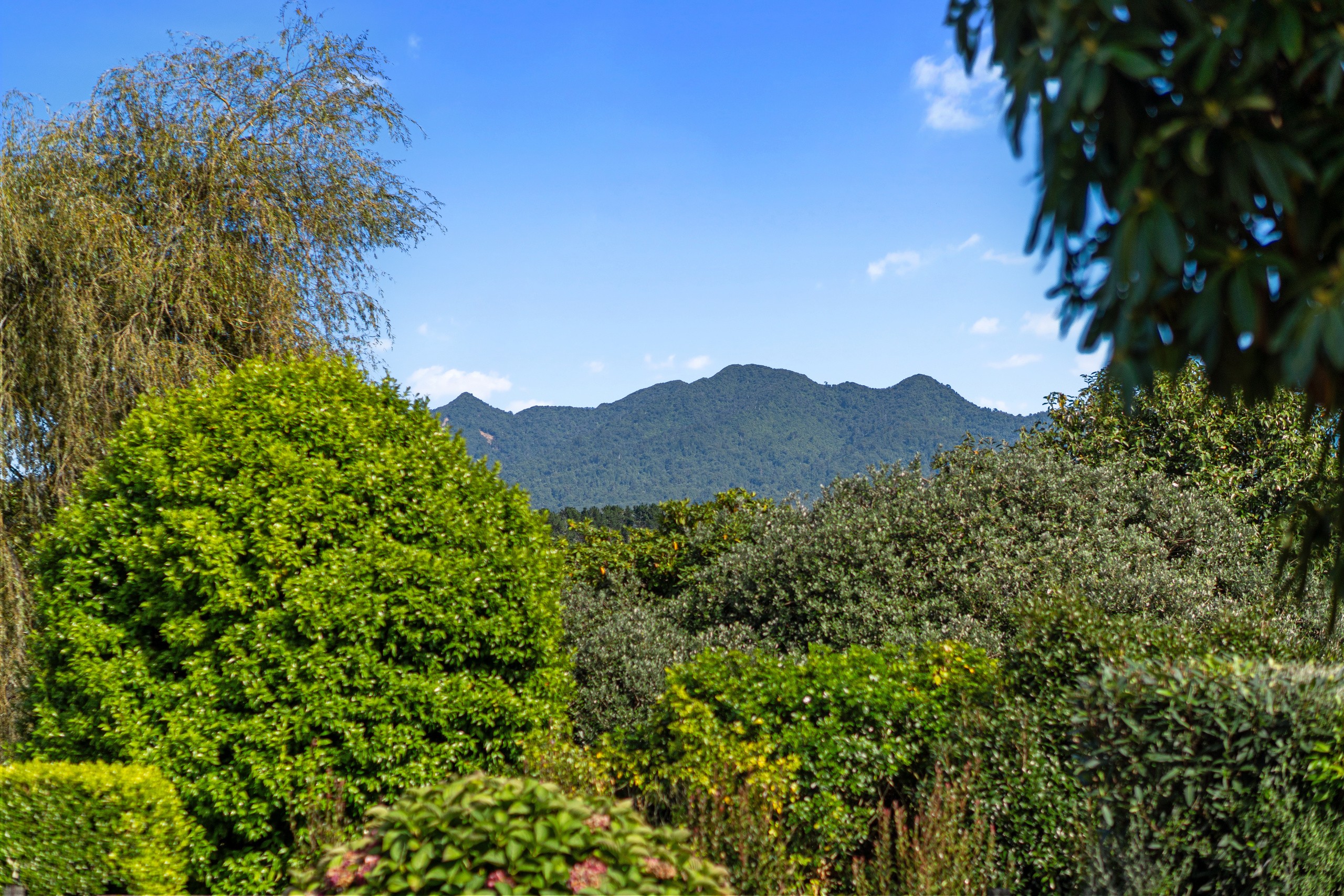 402 Baffin Street, Pirongia, Waipa District