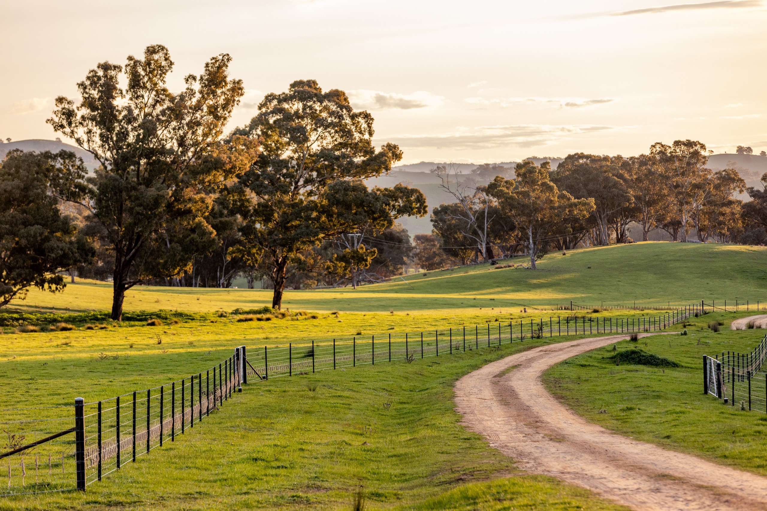 107 Stewarts Road, Oberne Creek, NSW 2650