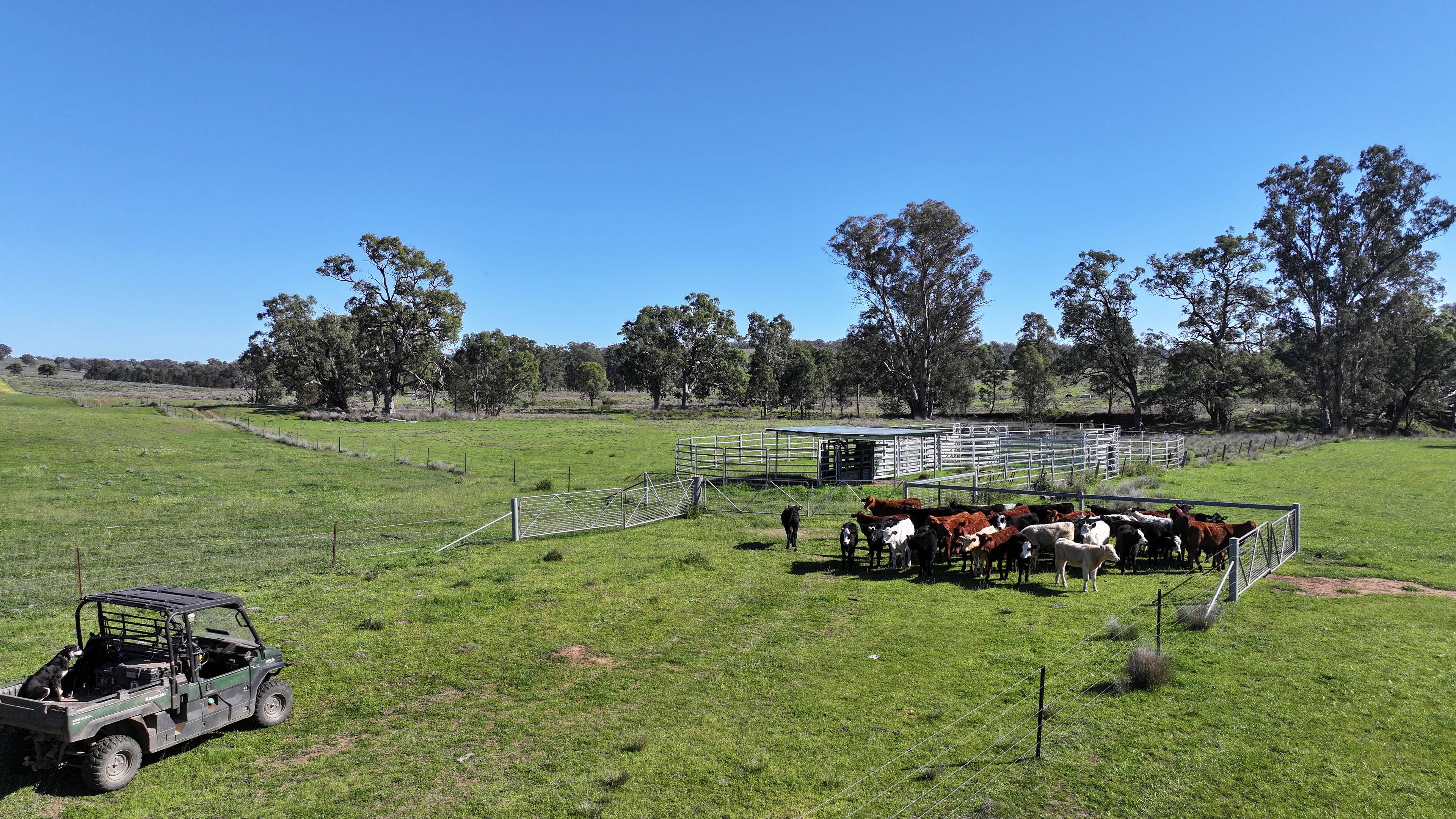 4861 Coonabarabran Road — photo 30 of 30
