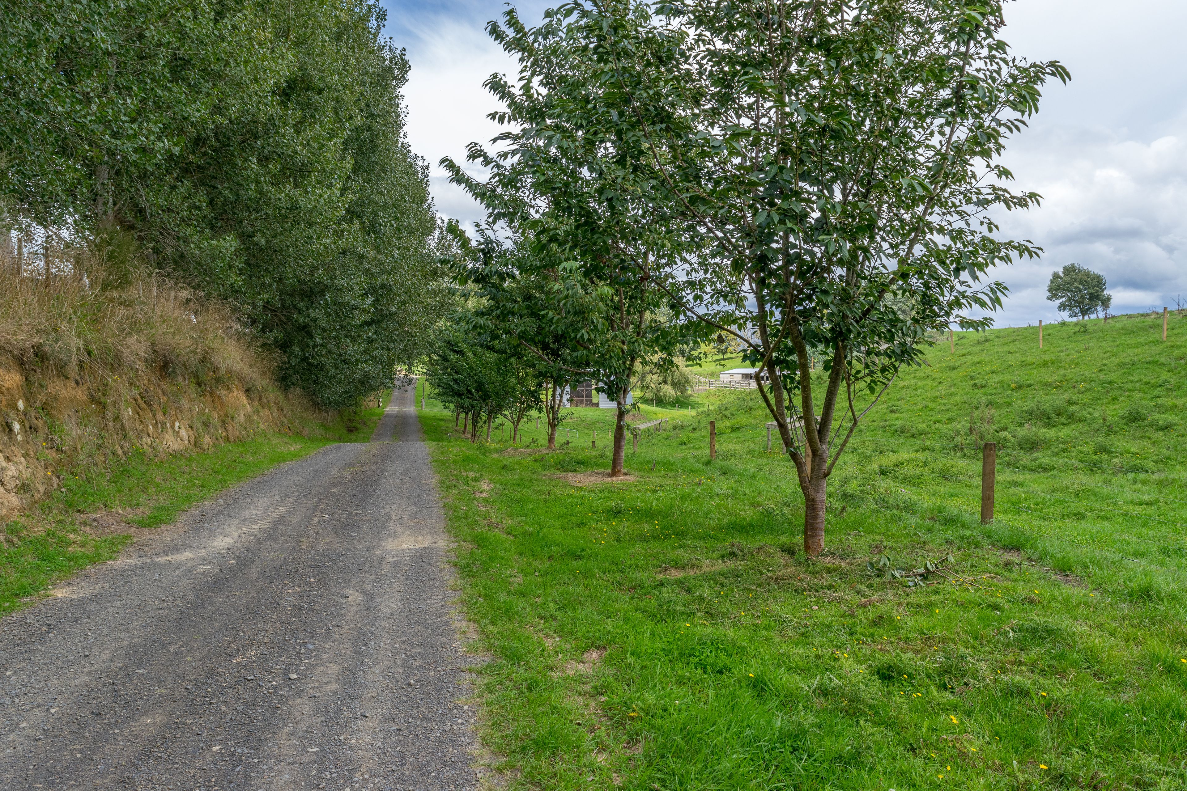 428 Whatauri Road, Te Awamutu, Waipa District