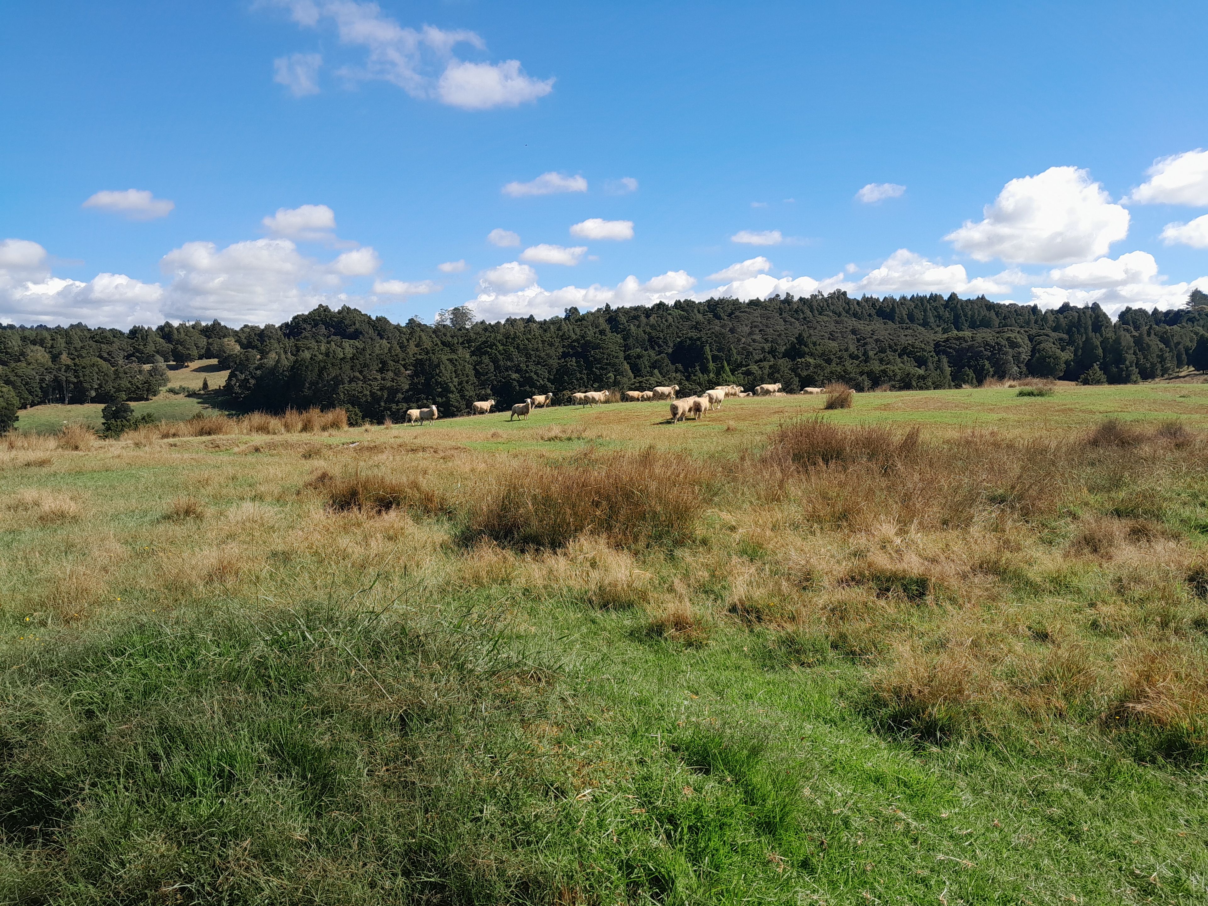 660 Waimate North Road, Kerikeri, Far North District