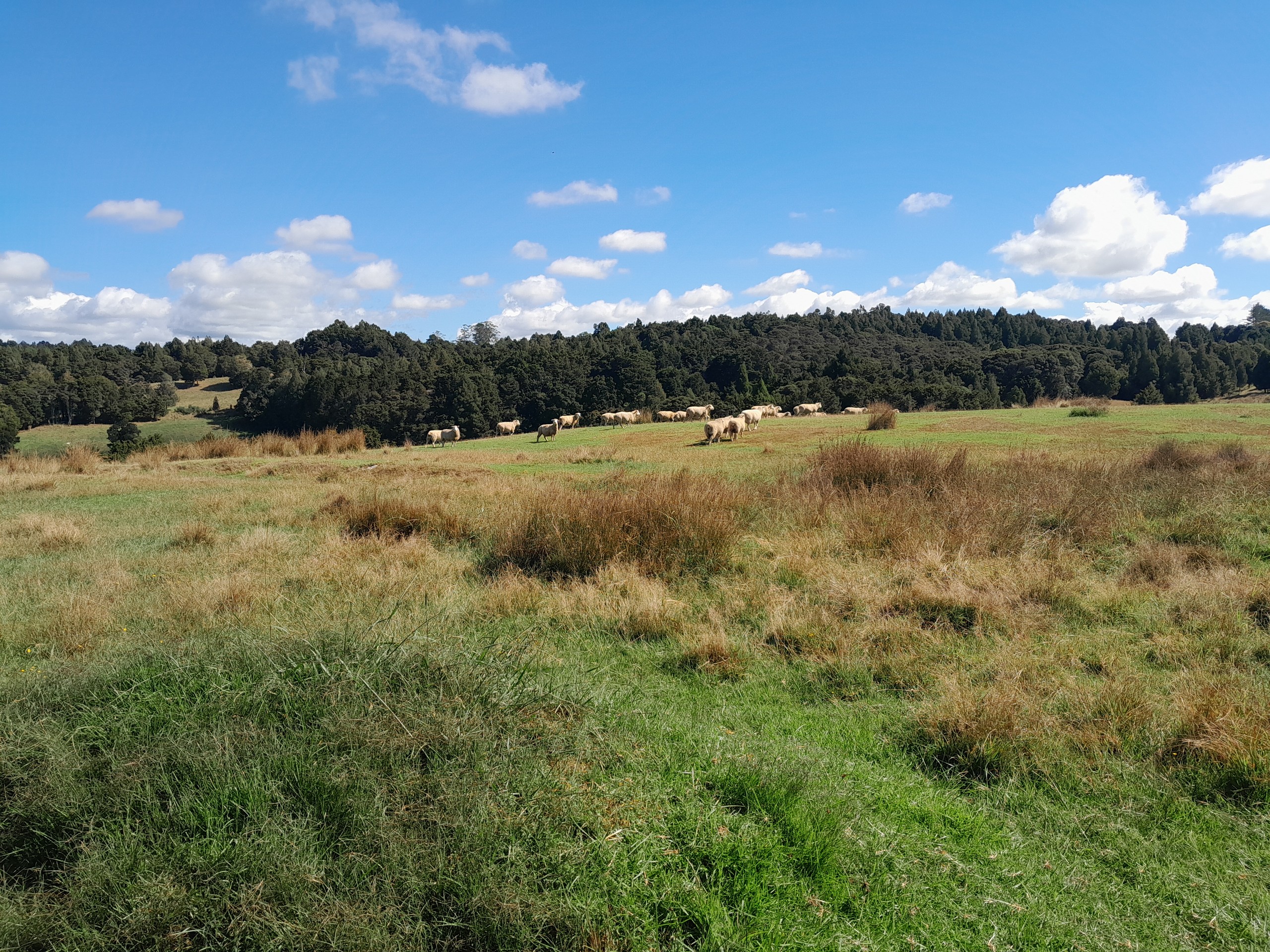 660 Waimate North Road, Kerikeri, Far North District