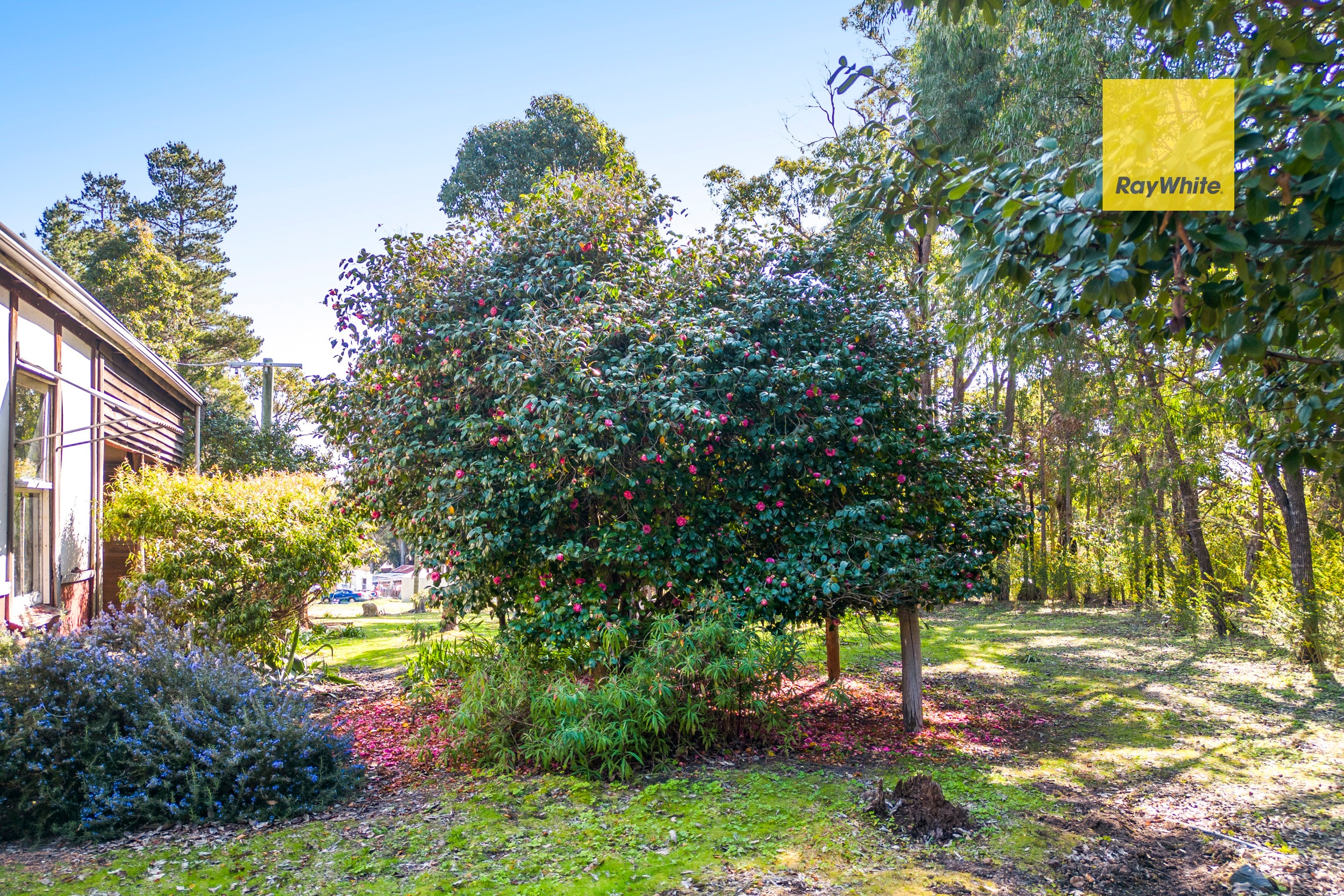 19 Old School Road, Jarrahwood, WA 6275