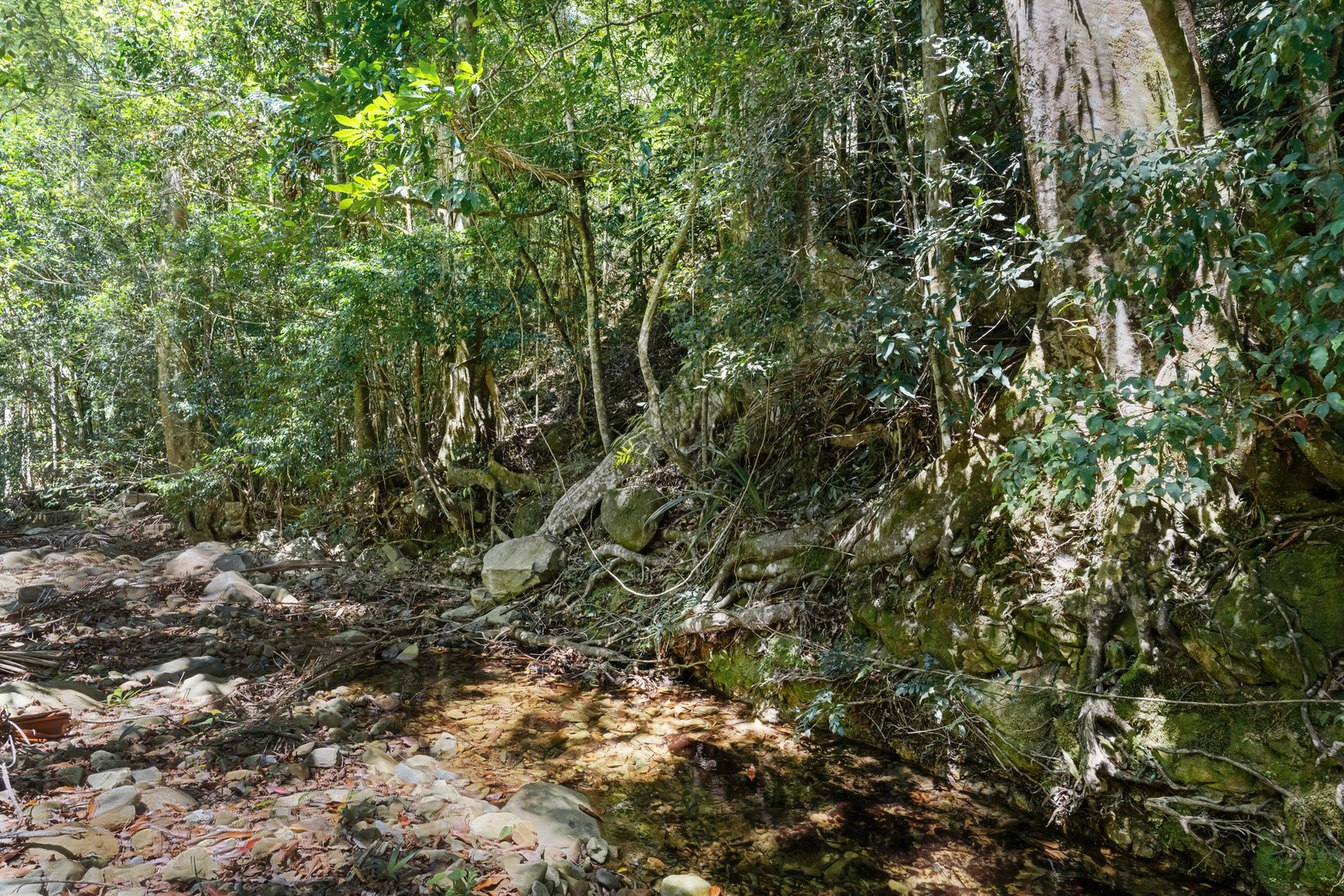 131 Porters Road, Upper Crystal Creek, NSW 2484