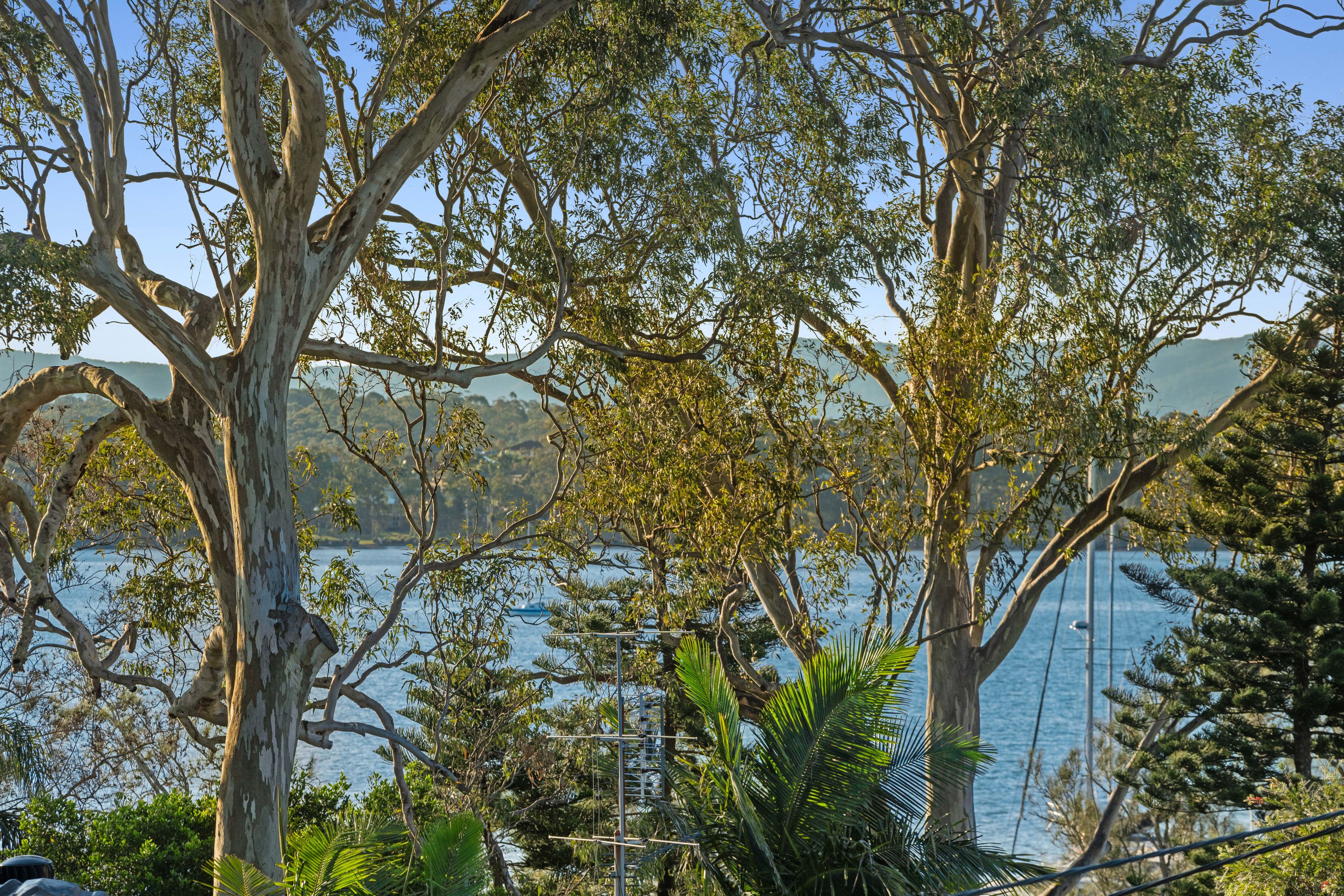 8 Halcyon Street — photo 13 of 19