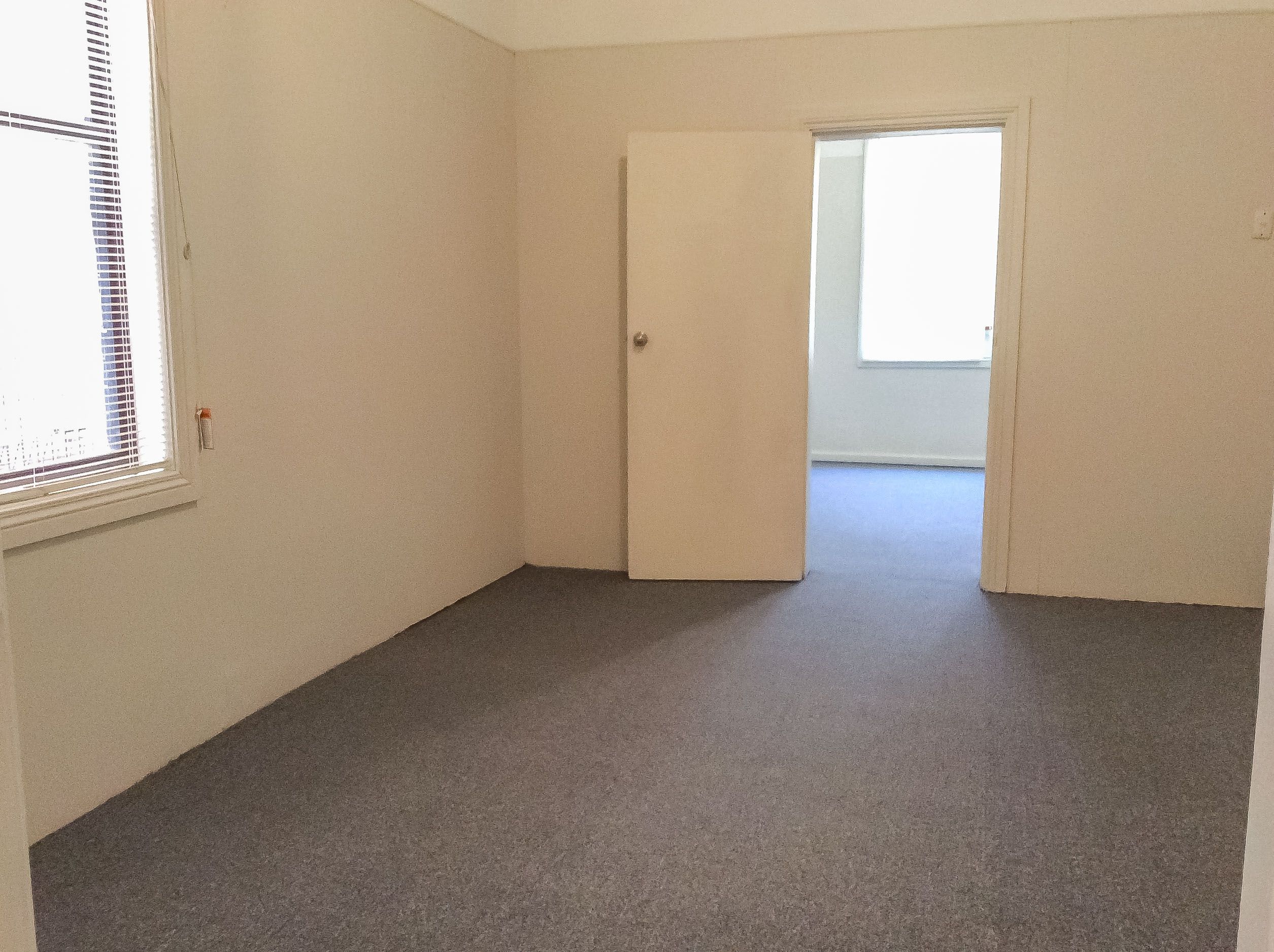 2/31 Fern Street, Islington, NSW 2296