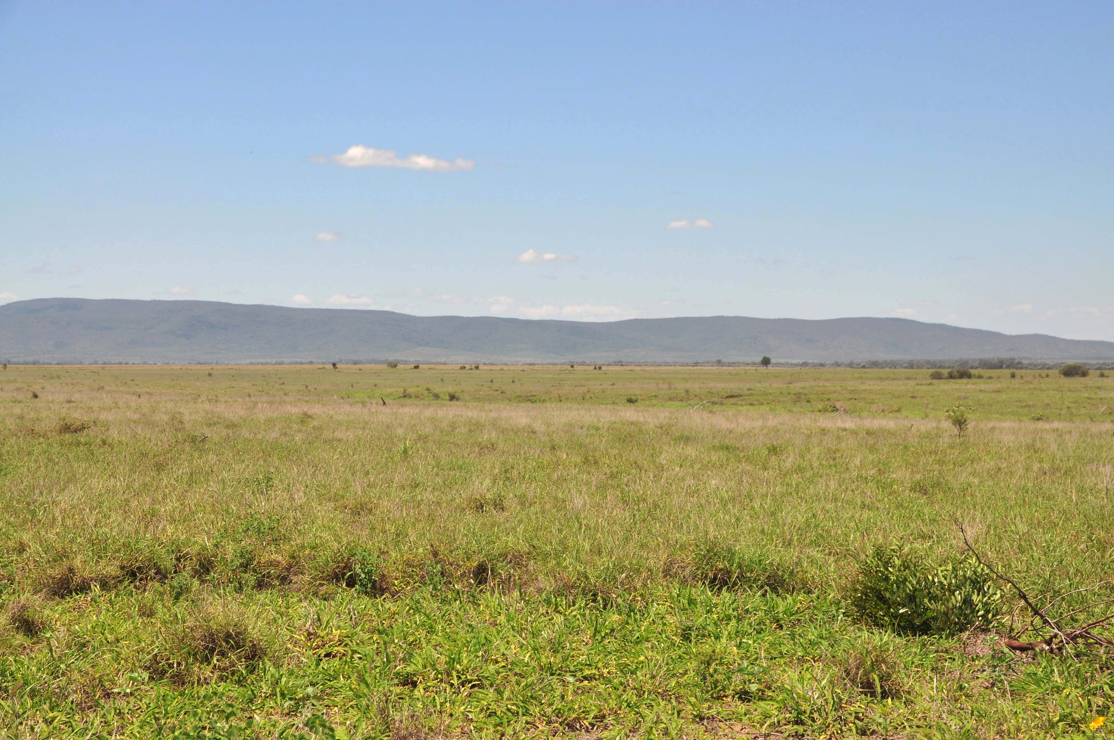 Coreen Road, Mackenzie, QLD 4702