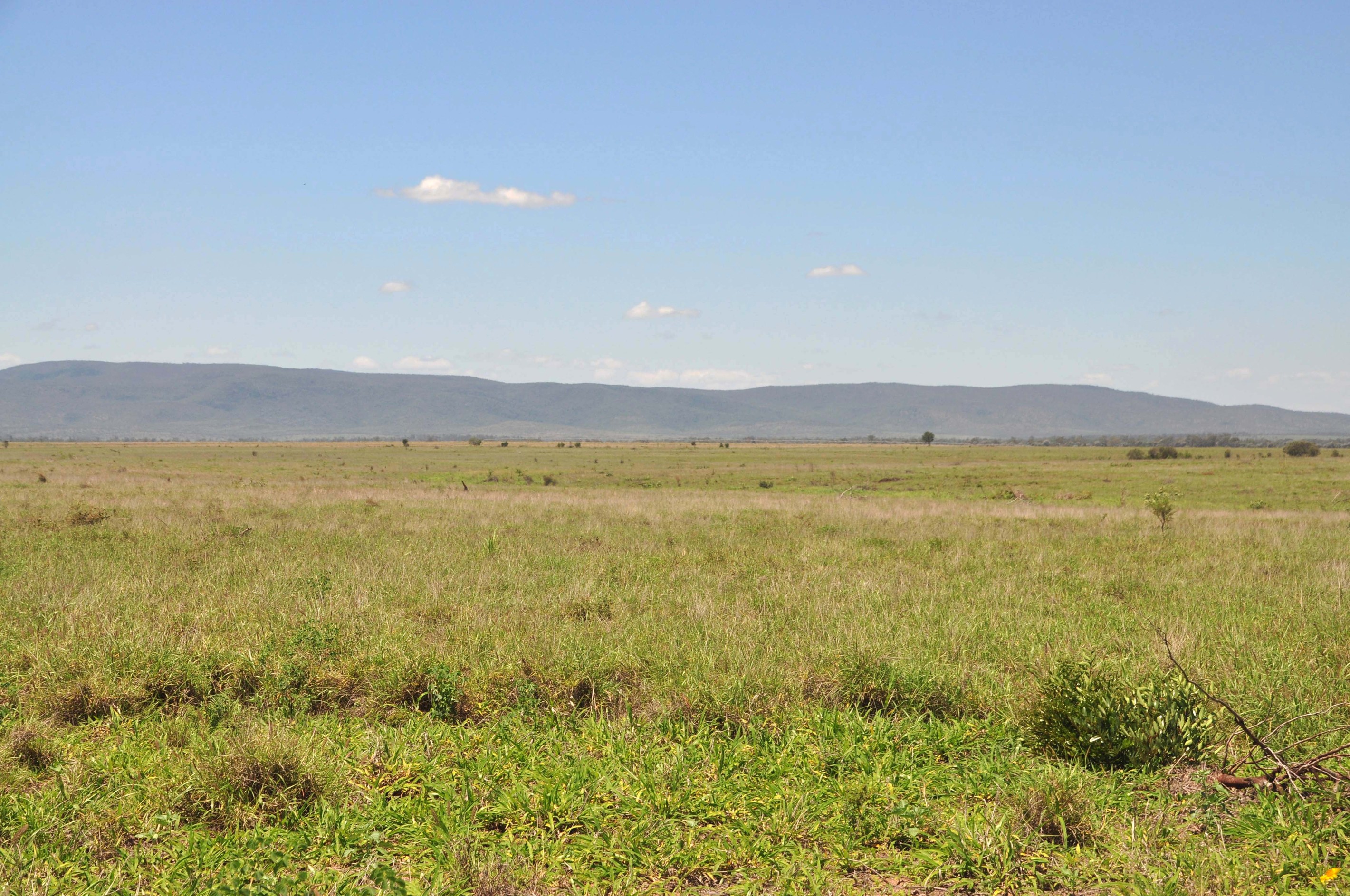 Coreen Road, Mackenzie, QLD 4702