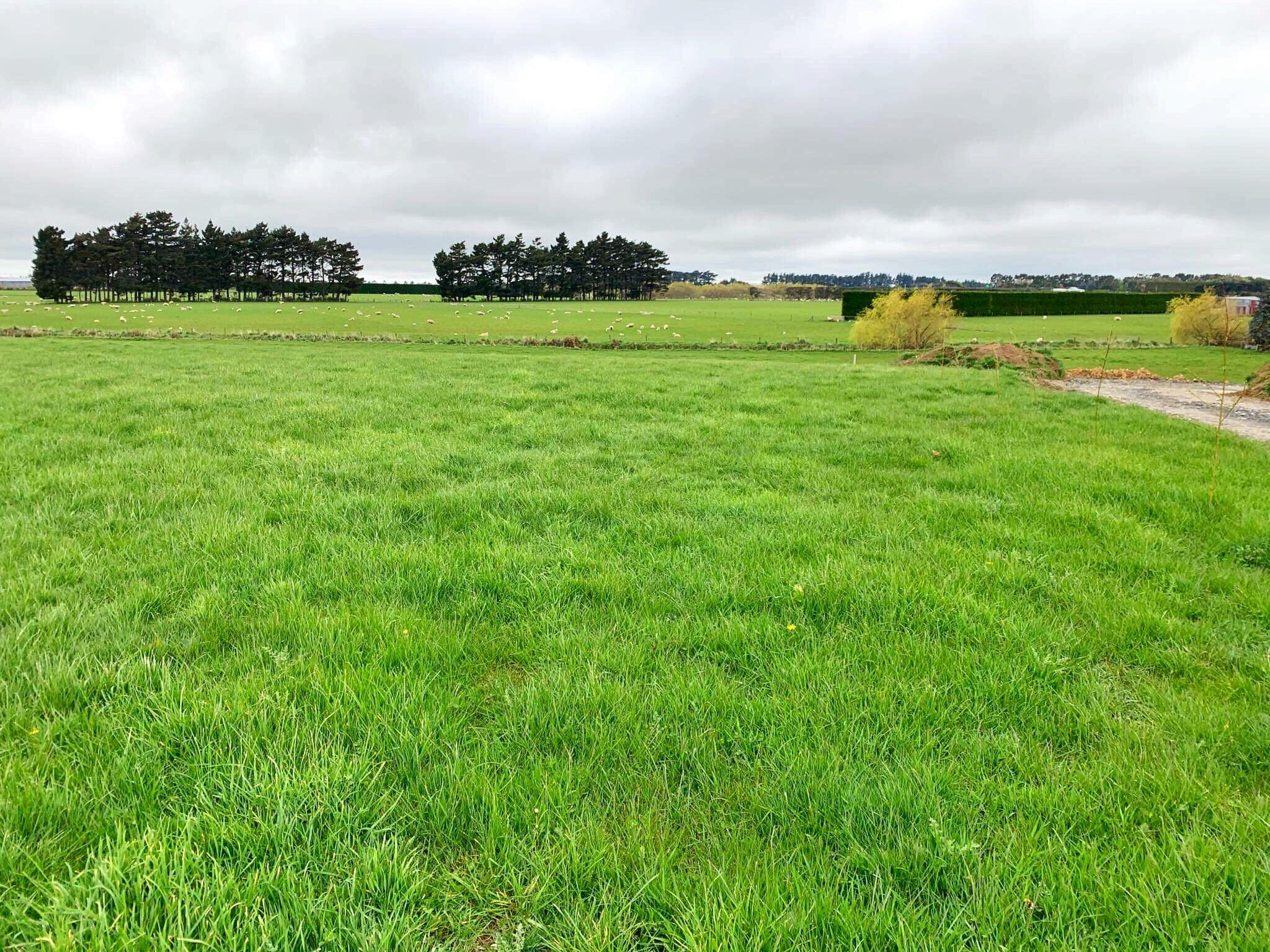 228F (LOT 2) Roslyn Road, Myross Bush, Invercargill