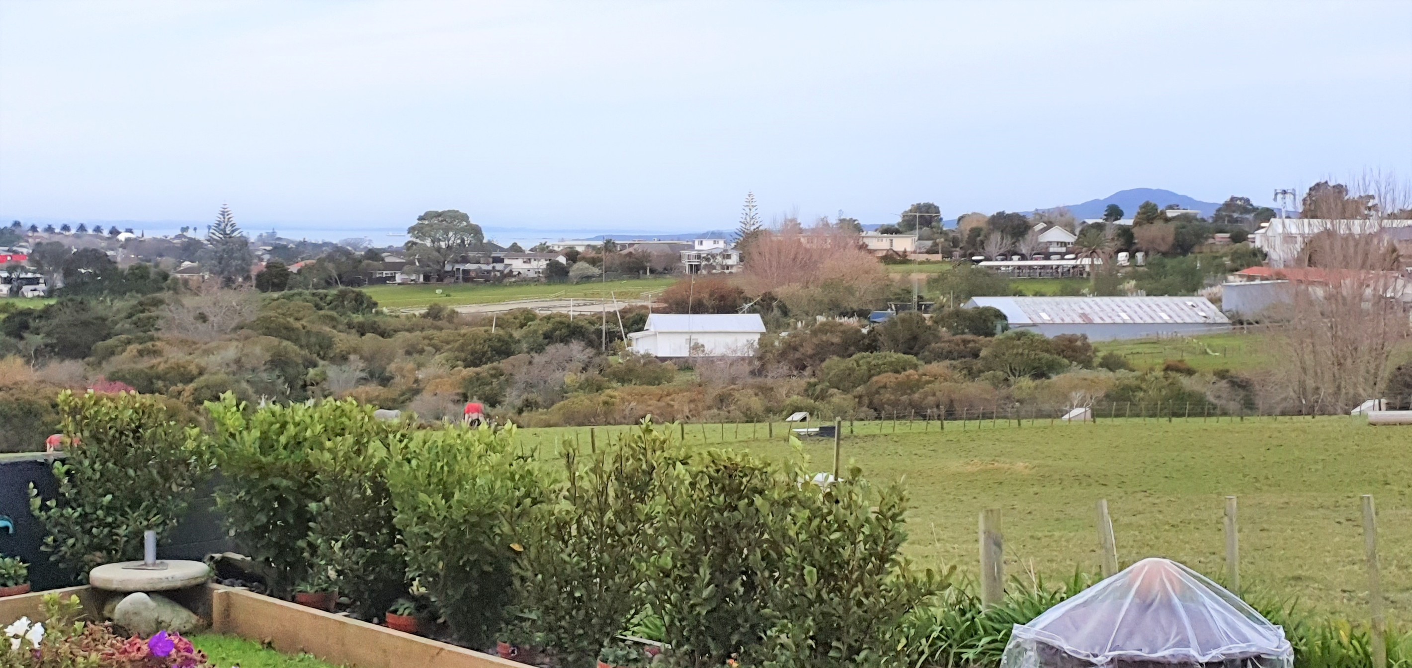 228B Gowing Drive, Meadowbank, Auckland City