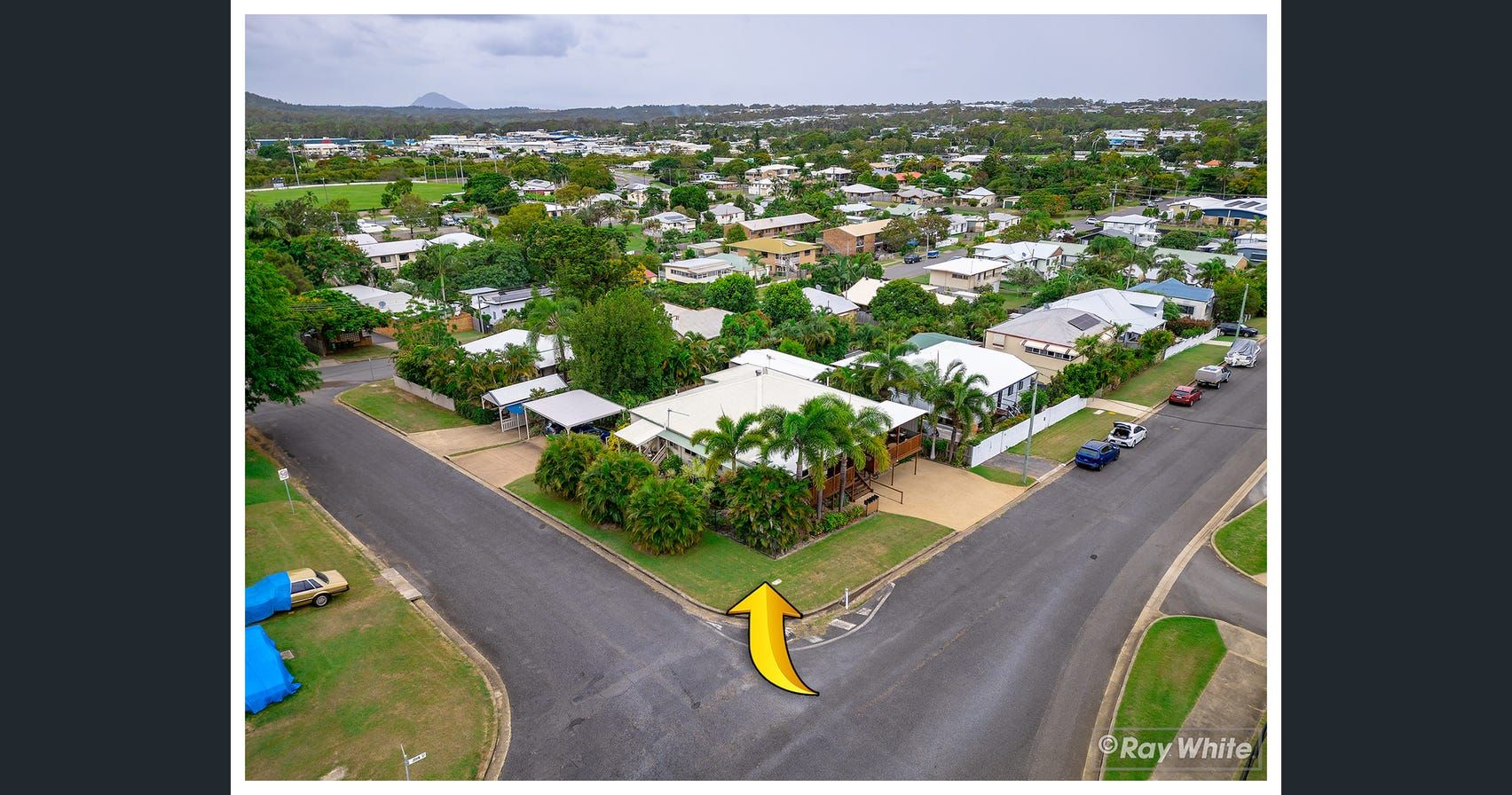 4/56 John Street — photo 14 of 16