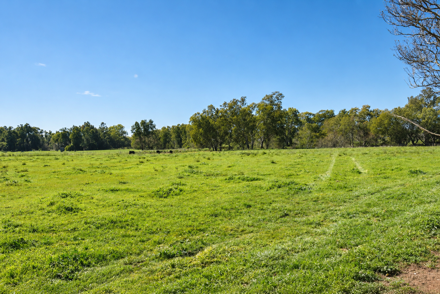 83 Renshaw Mcgirr Way — photo 13 of 18