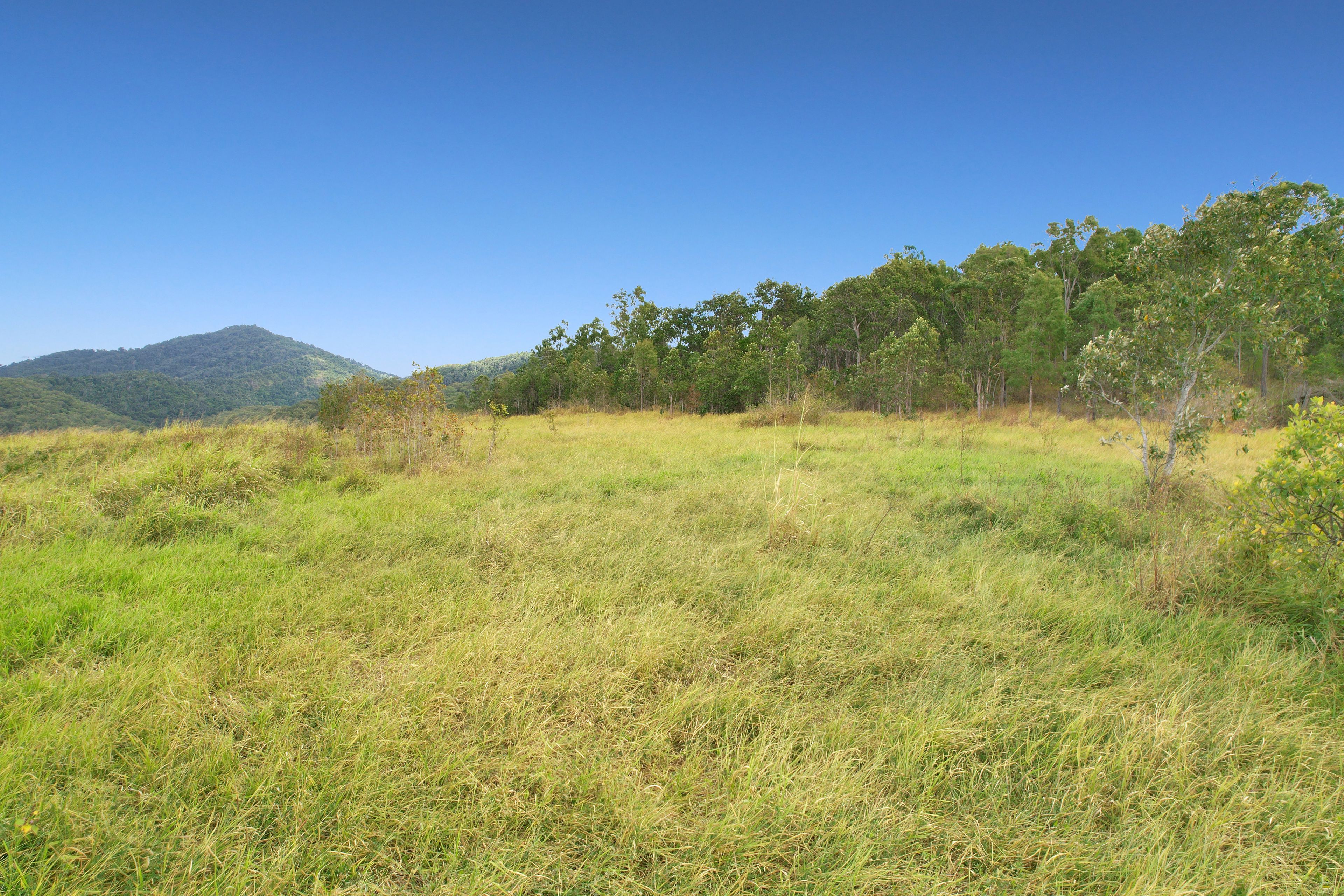 0 Adda Road, Sarina, QLD 4737 Sold Rural Lifestyle Property Ray