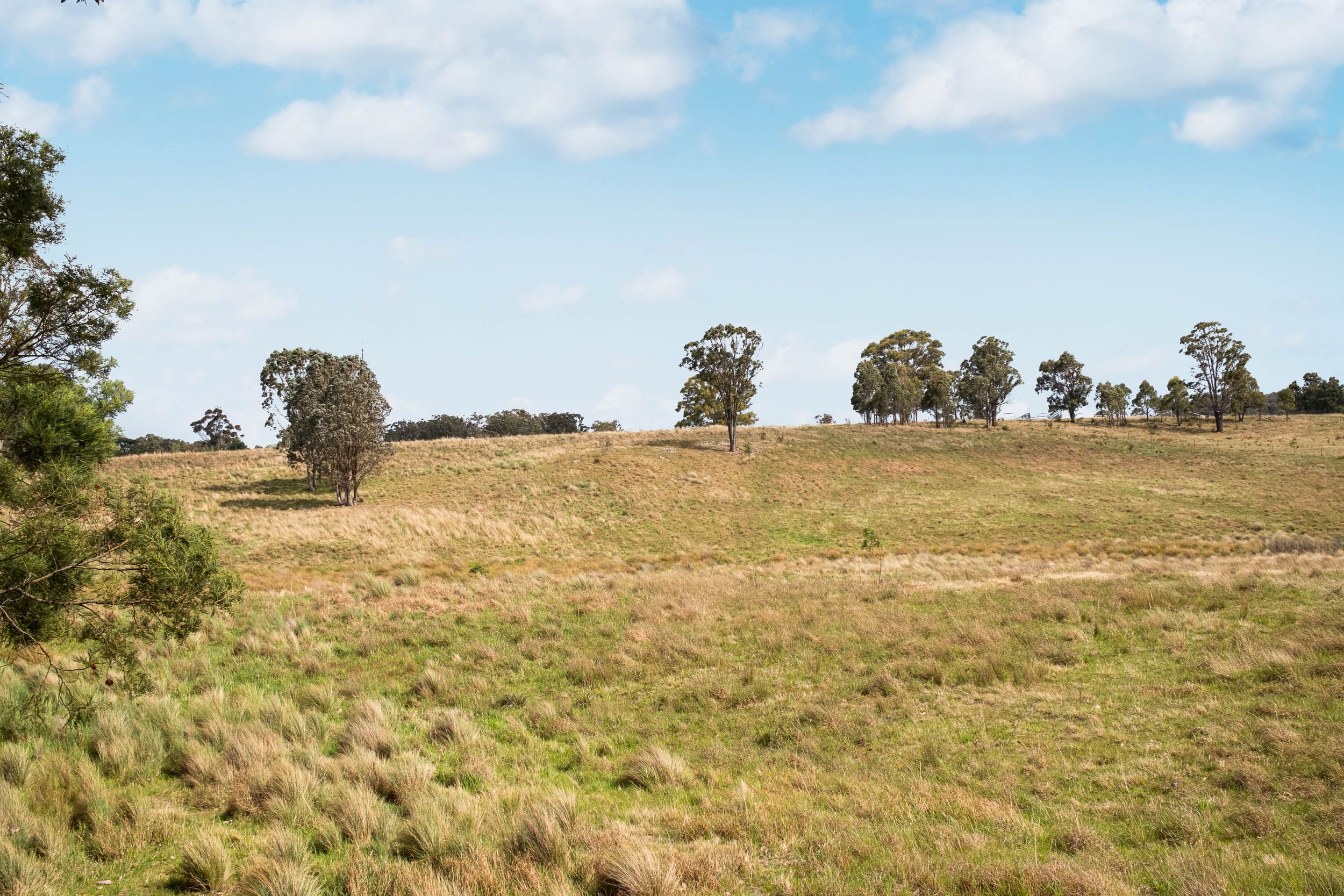 Lot 1 Windellama Road, Quialigo, NSW 2580 - Sold Rural Lifestyle ...