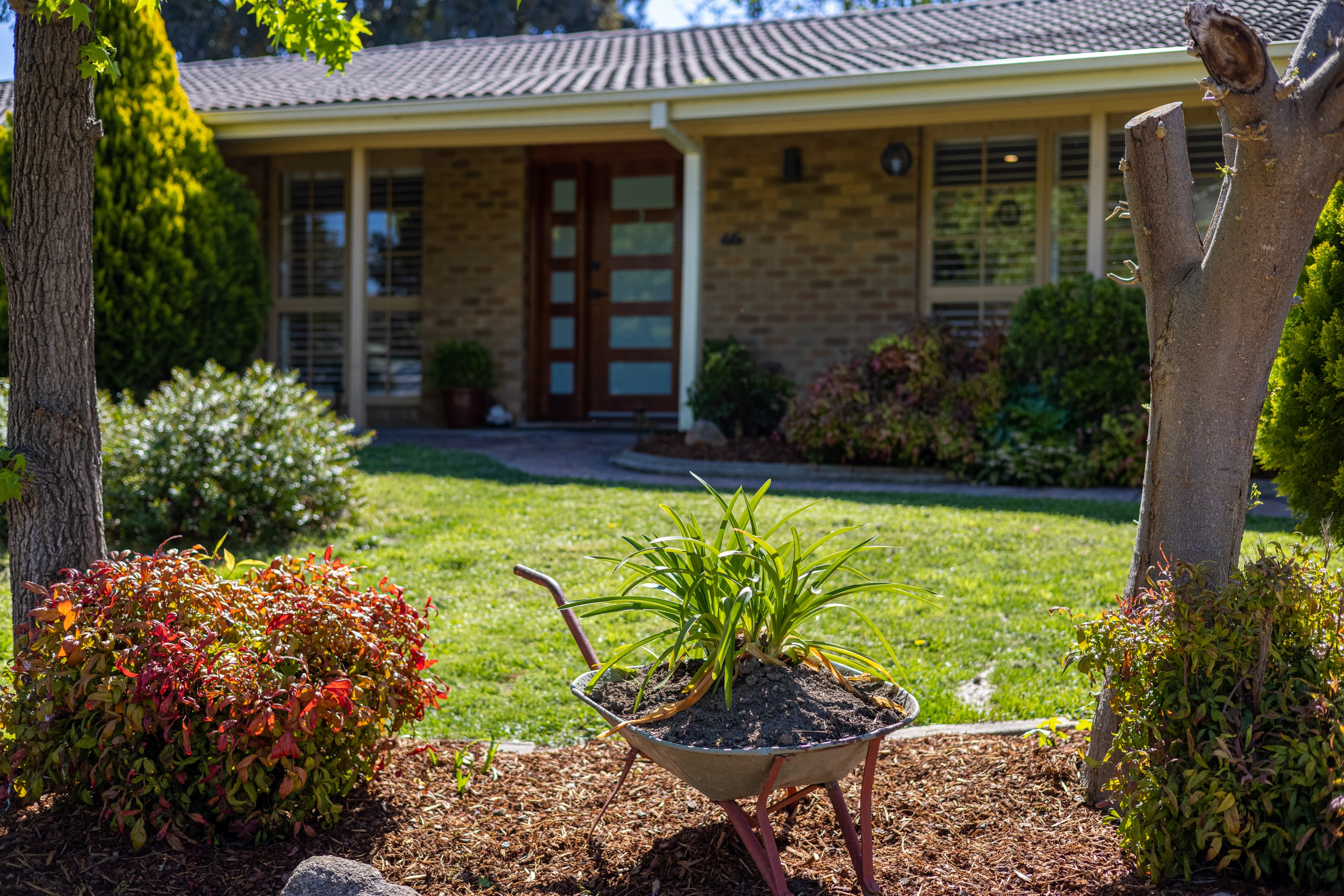 65 Enid Lorimer Circuit, Chisholm, ACT 2905