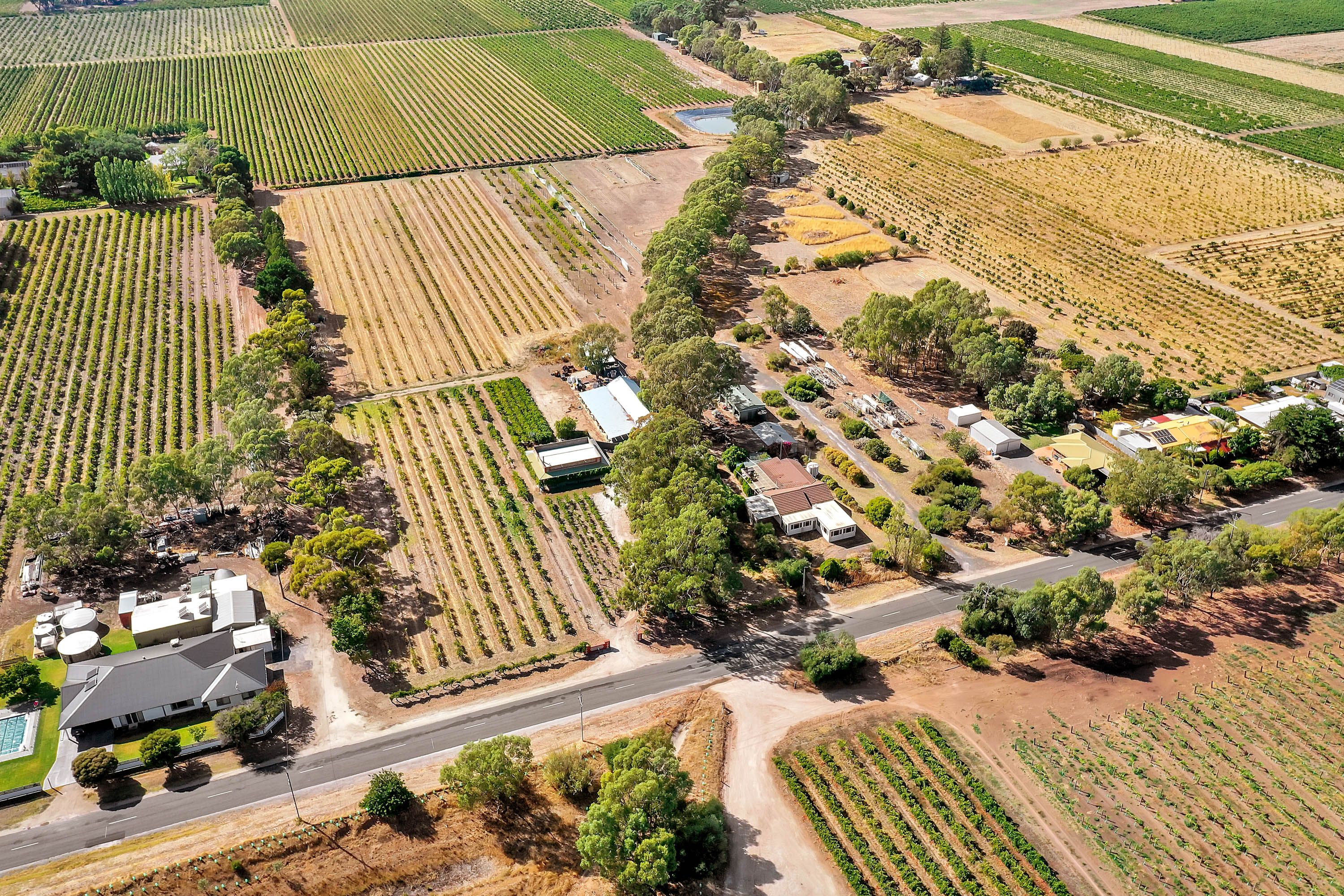 224 Research Road, Tanunda, SA 5352 Sold House Ray White Barossa Valley Two Wells