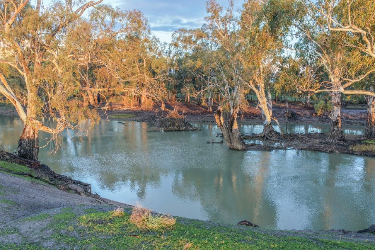 319 Balranald Road — photo 3 of 6
