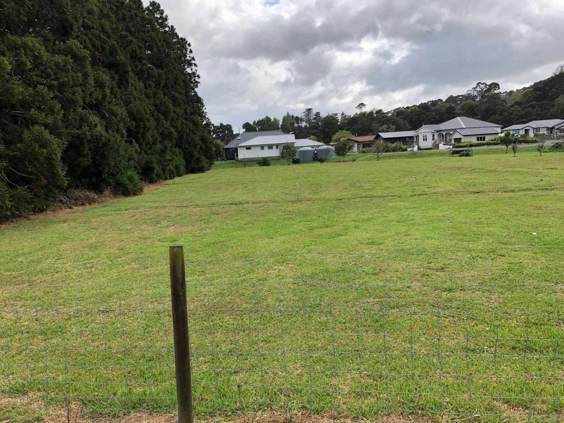 970 Kahikatea Flat Road photo 18