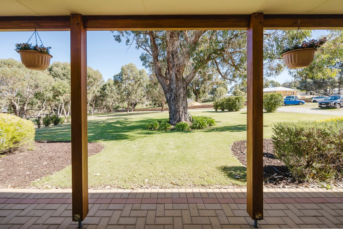 19 Cinnamon Meander — photo 6 of 30