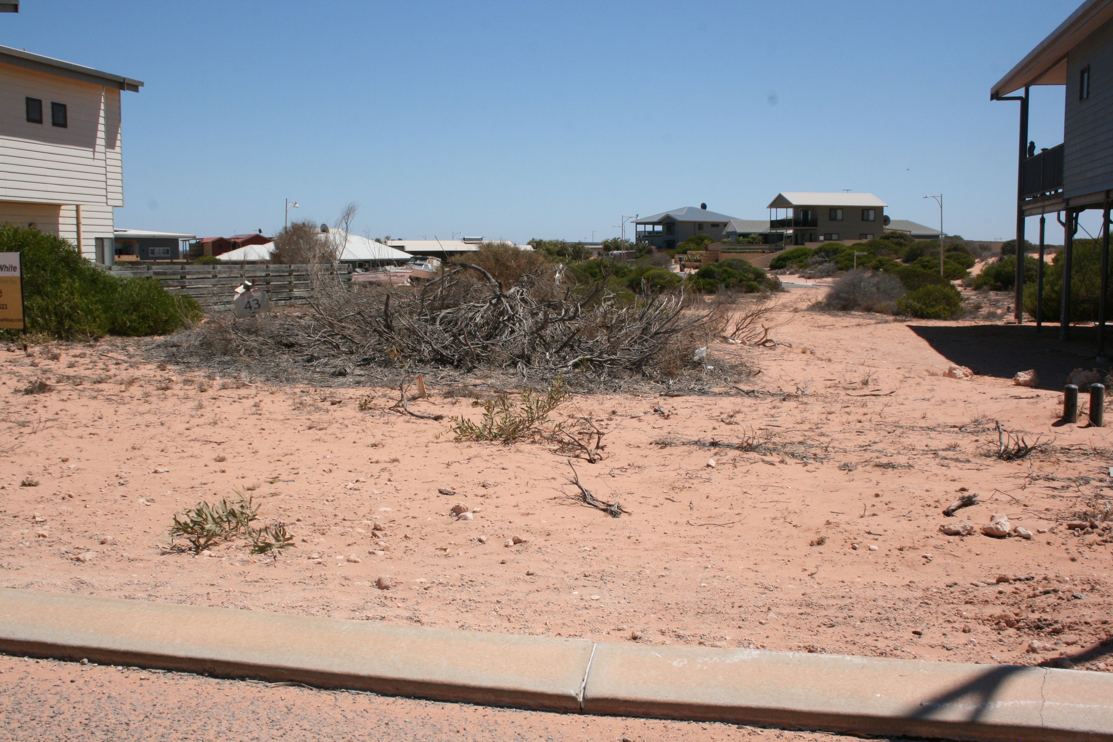 12 Sellenger Heights, Denham, WA 6537 Land for Sale Ray White Shark Bay