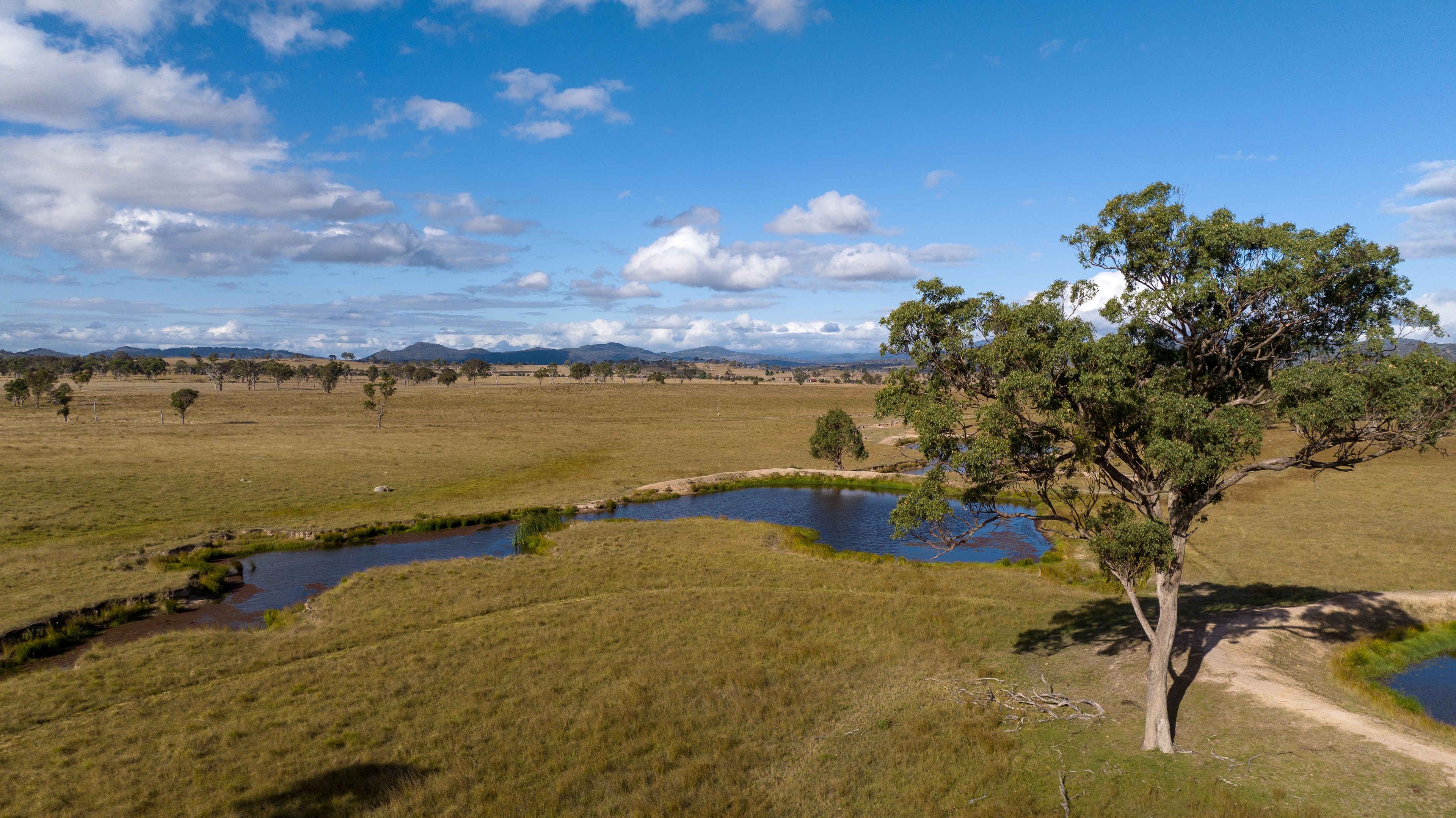 324 Wellingtonvale Road, Deepwater, NSW 2371