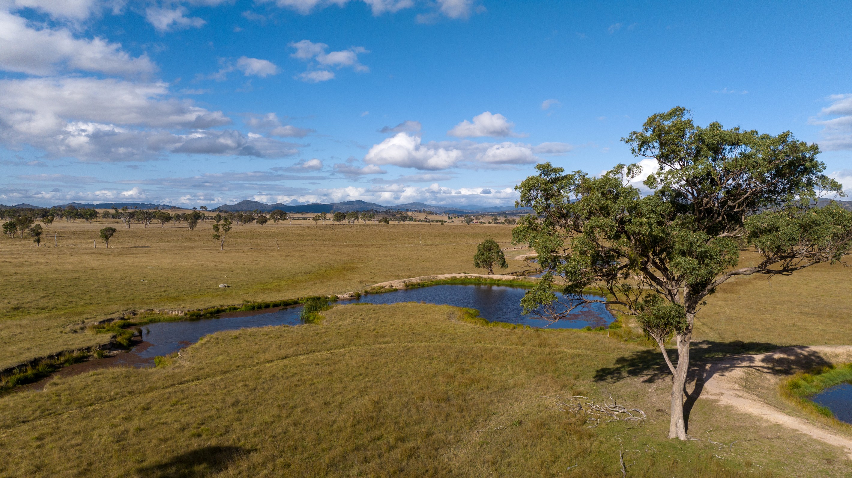 324 Wellingtonvale Road, Deepwater, NSW 2371