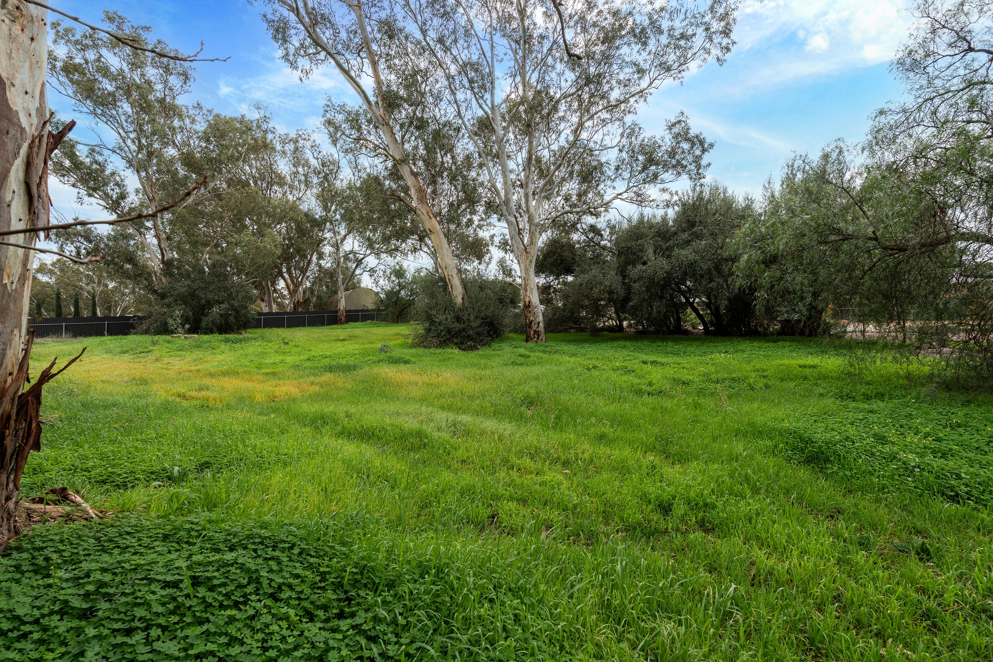 14 Commercial Road — photo 4 of 6
