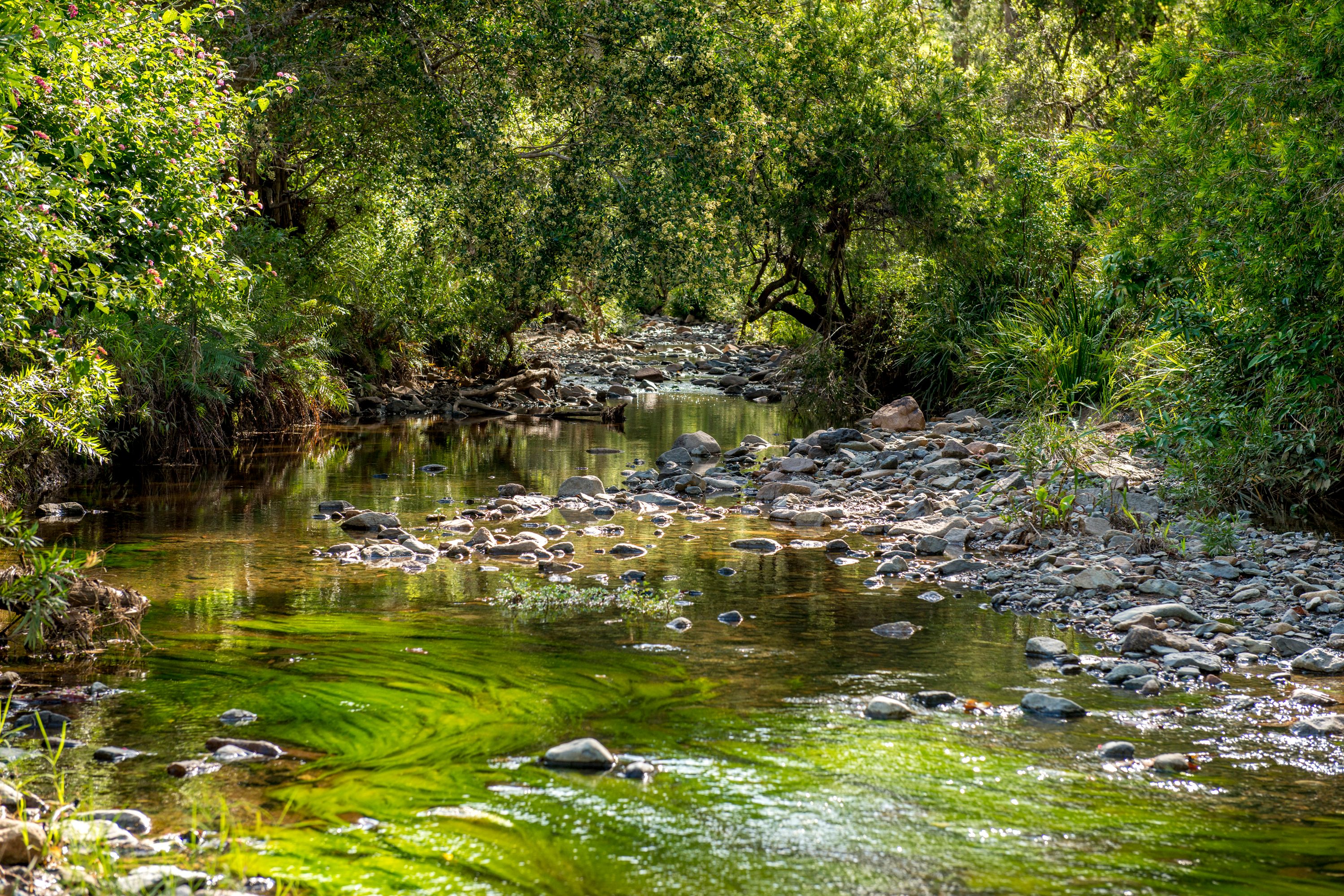 392 Moorina Road, Moorina, QLD 4506