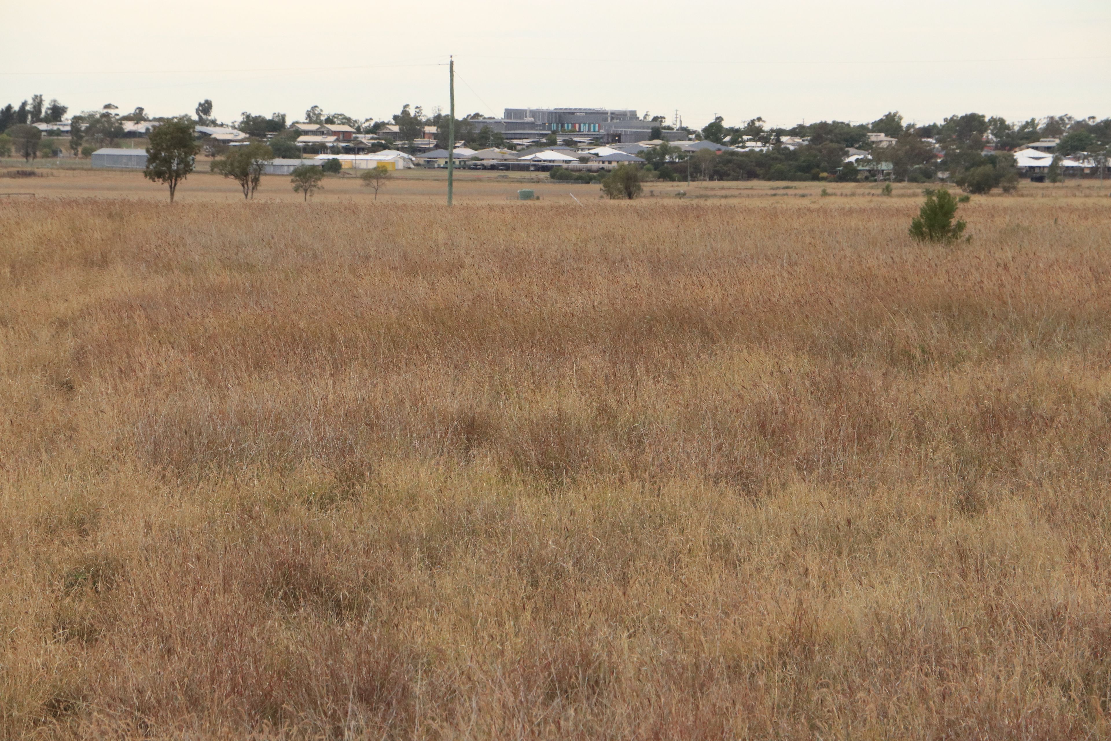 Roma, QLD 4455 - Rural Lifestyle Property for Sale - Ray White Rural Roma