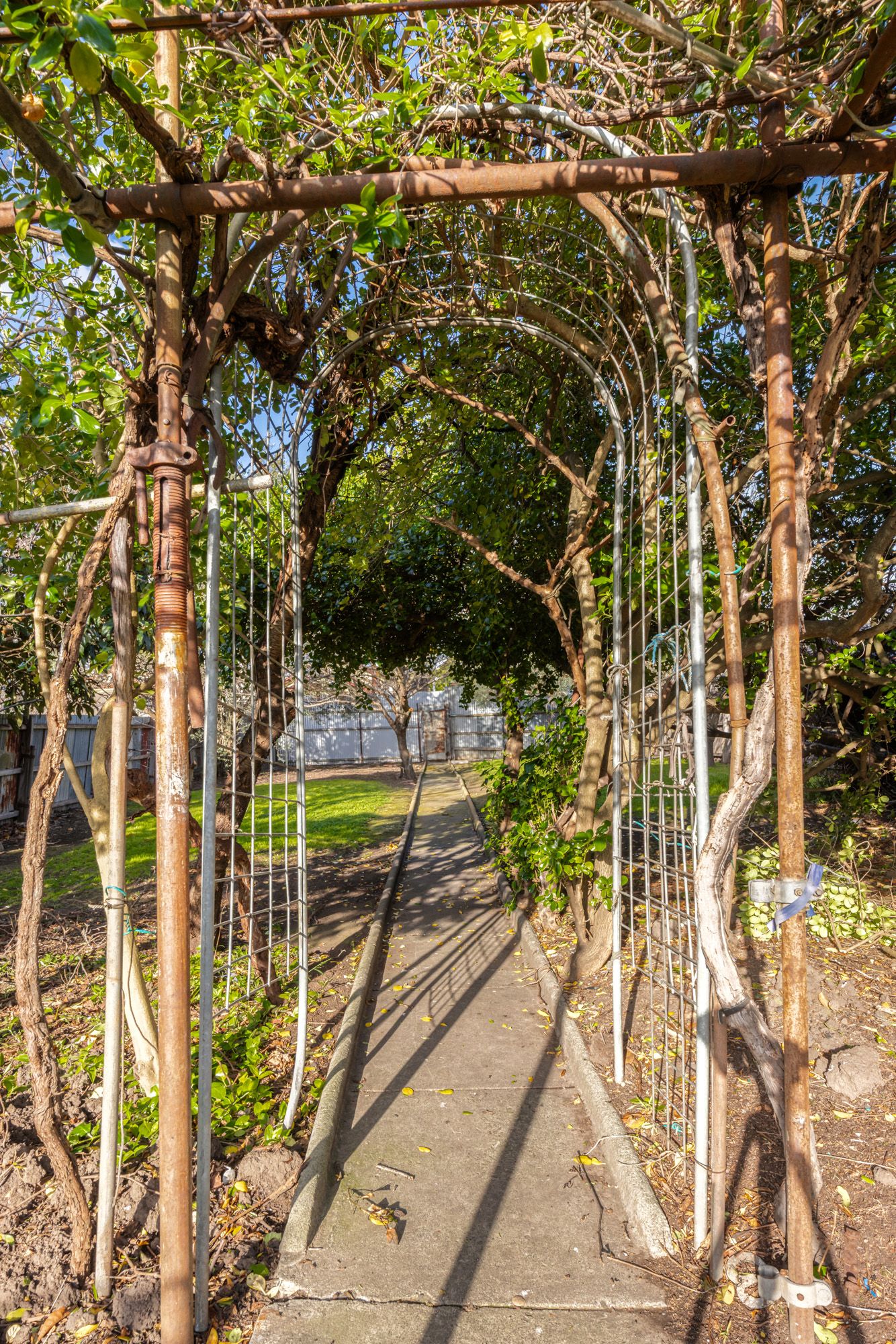 34 Austral Avenue — photo 15 of 20