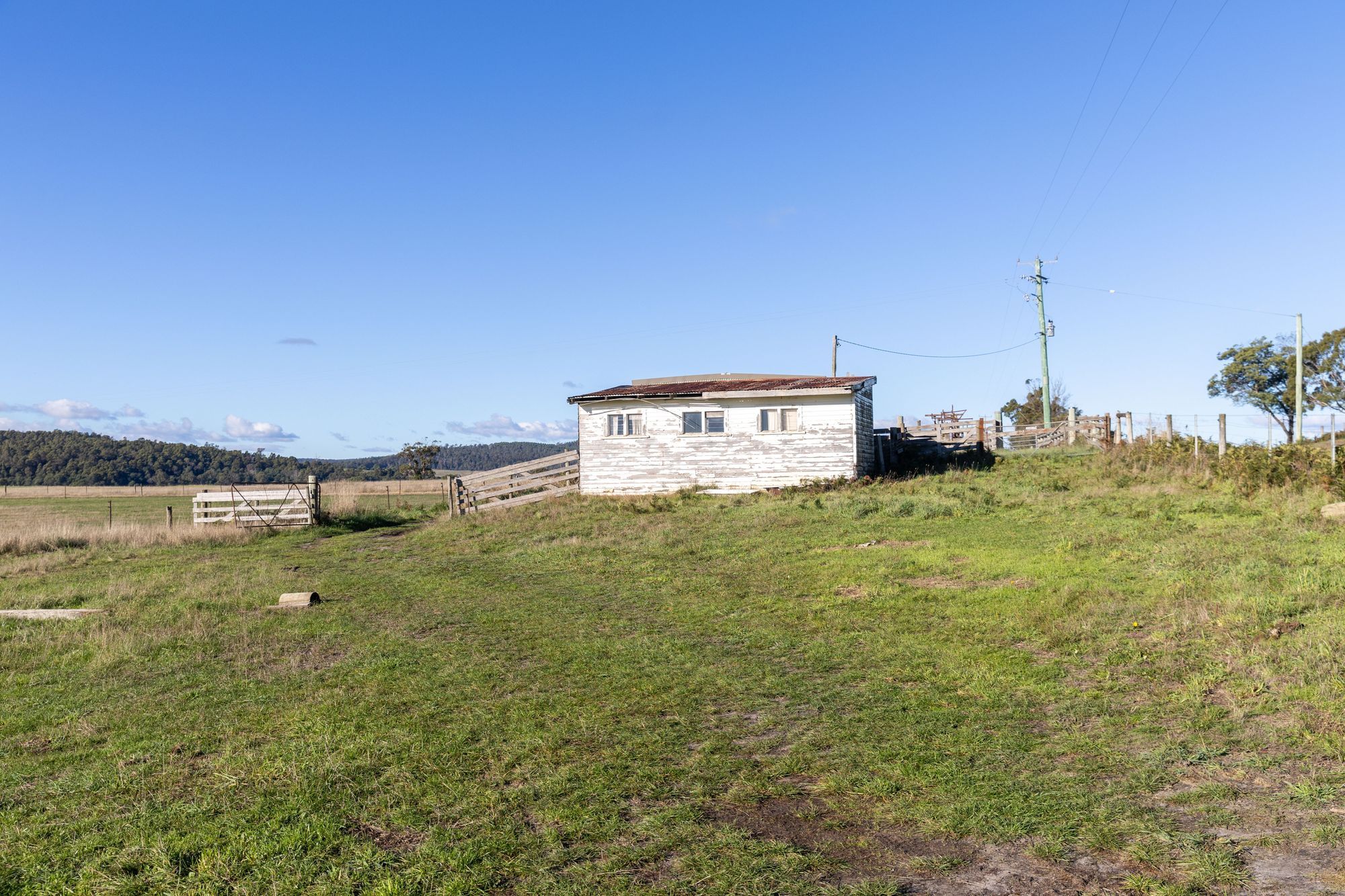300 Felmingham Road — photo 9 of 30