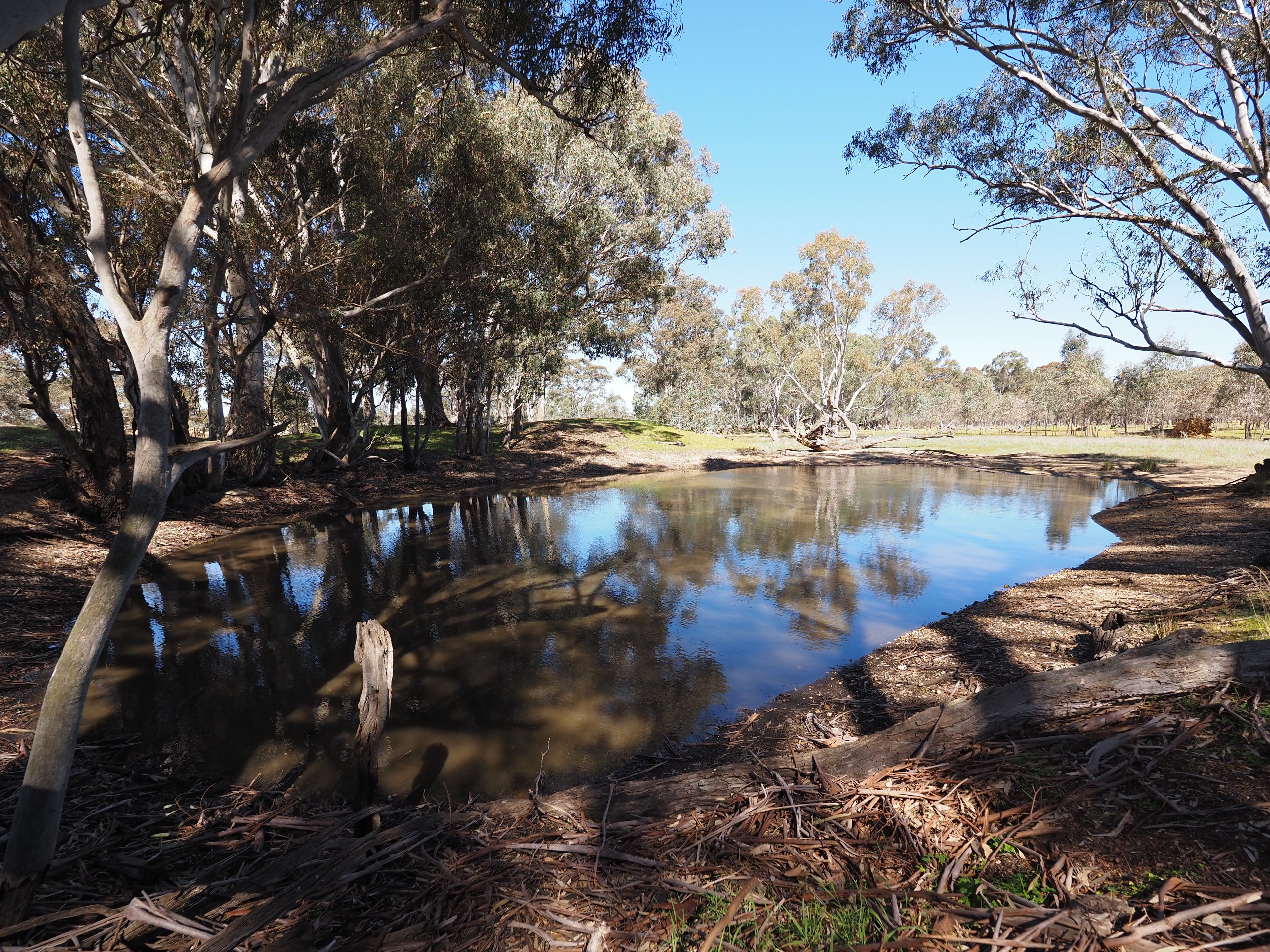 97 Walkers Road, Alma, VIC 3465