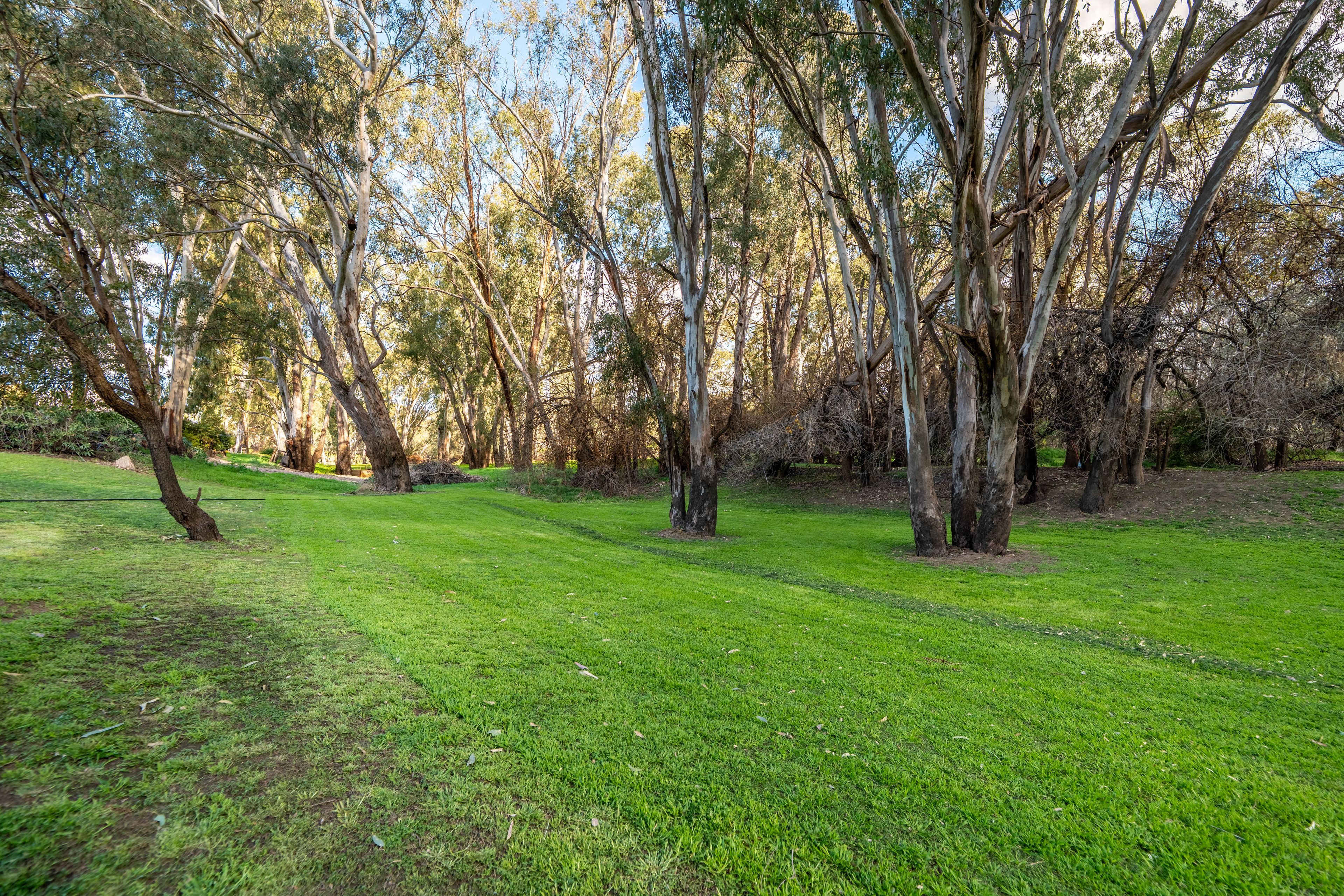 8791 Lachlan Valley Way — photo 28 of 30