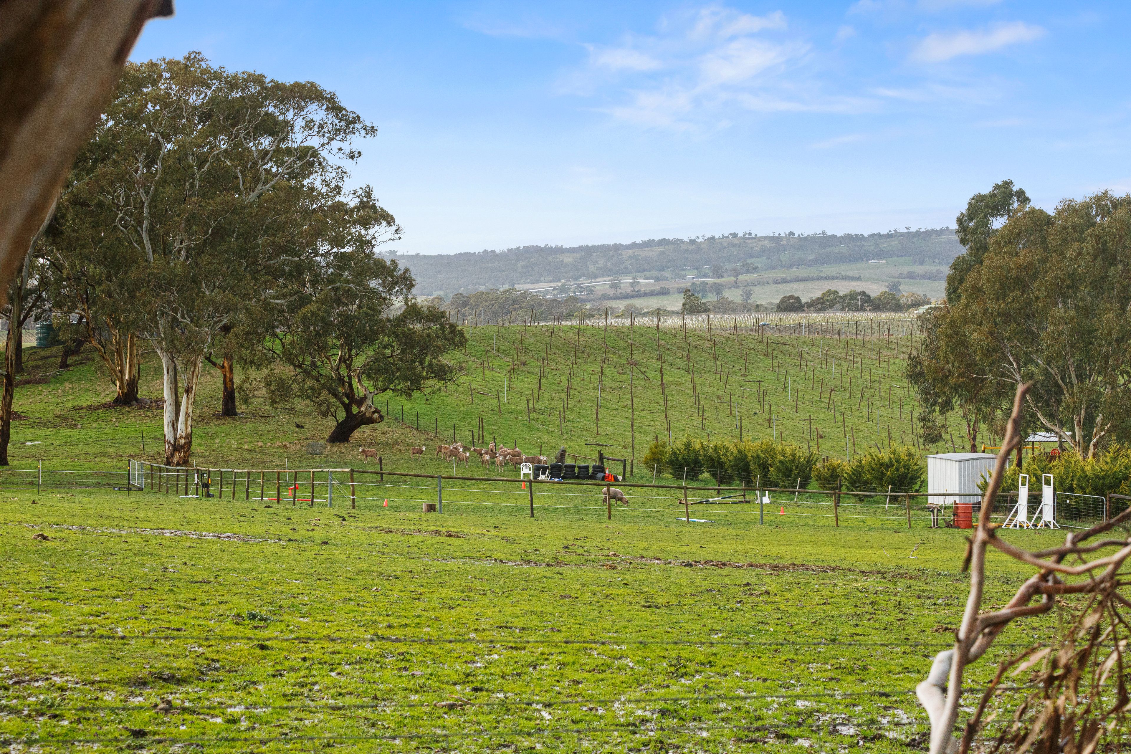 1/32 Frick Street, Lobethal, SA 5241