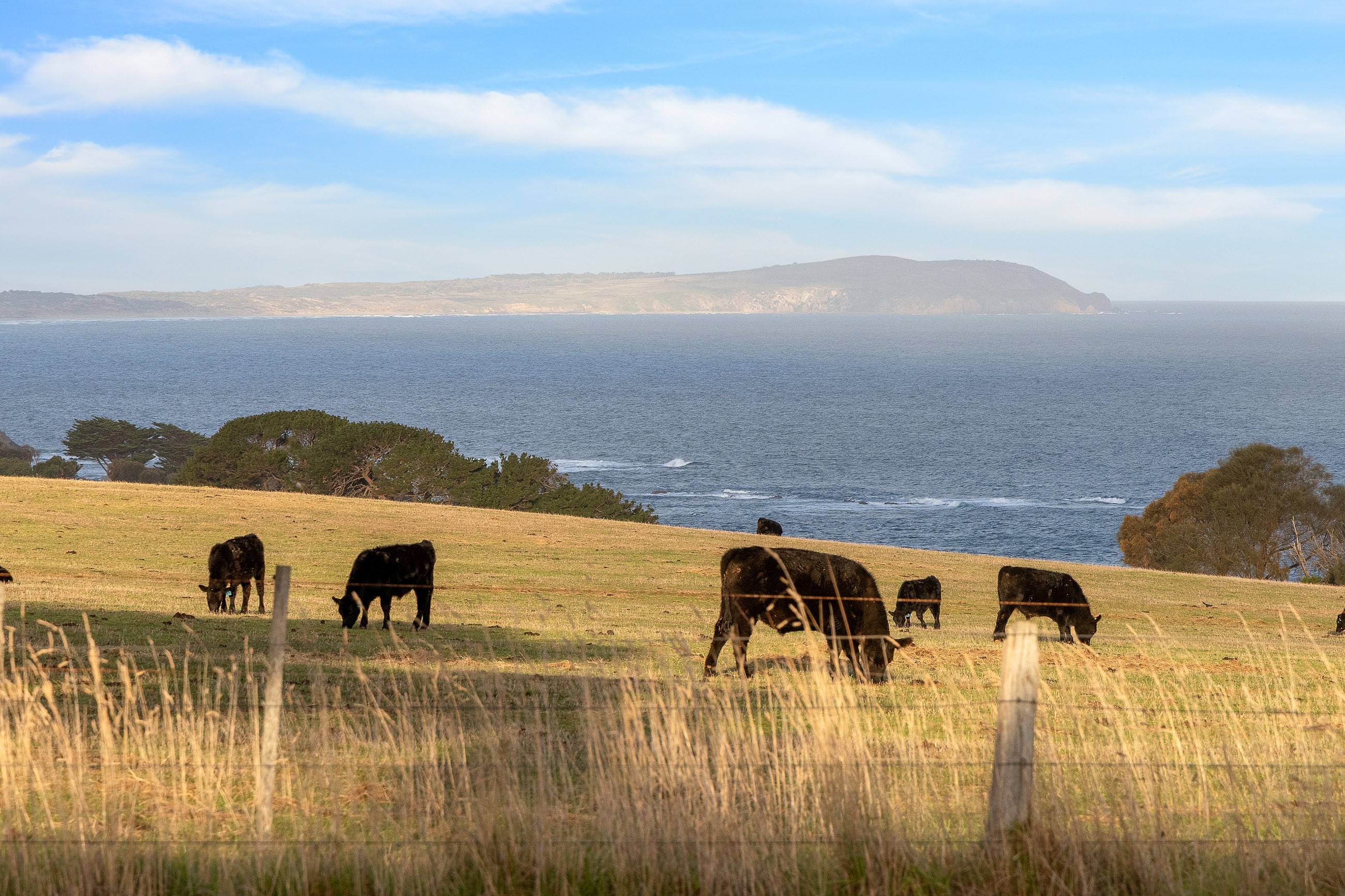 225 Gap Road, Ventnor, VIC 3922