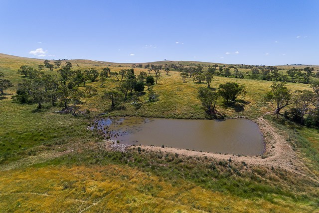 Proposed Lot 3 Gidleigh Lane, Bungendore, NSW 2621