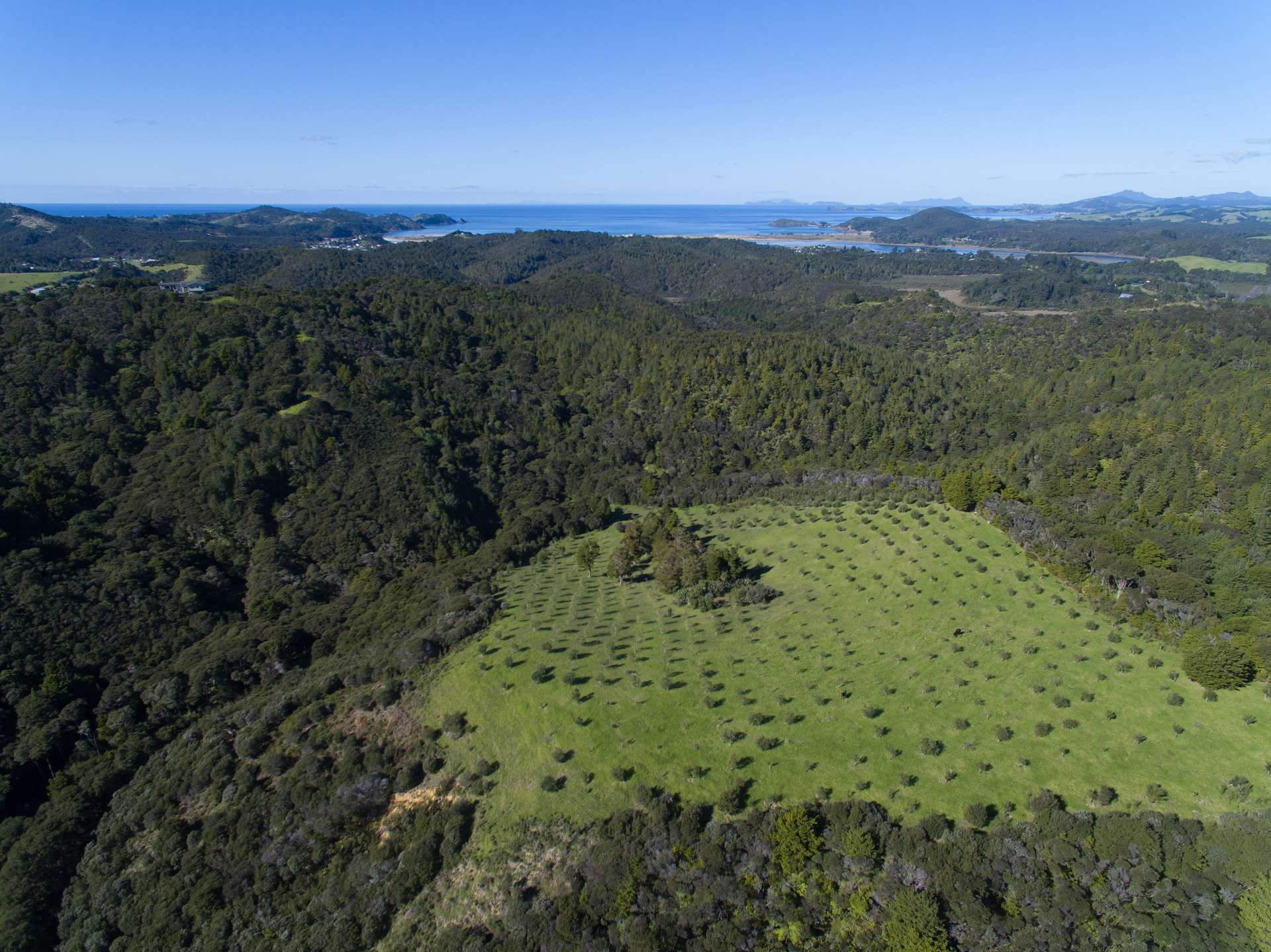 137a Pukenui Road photo 8