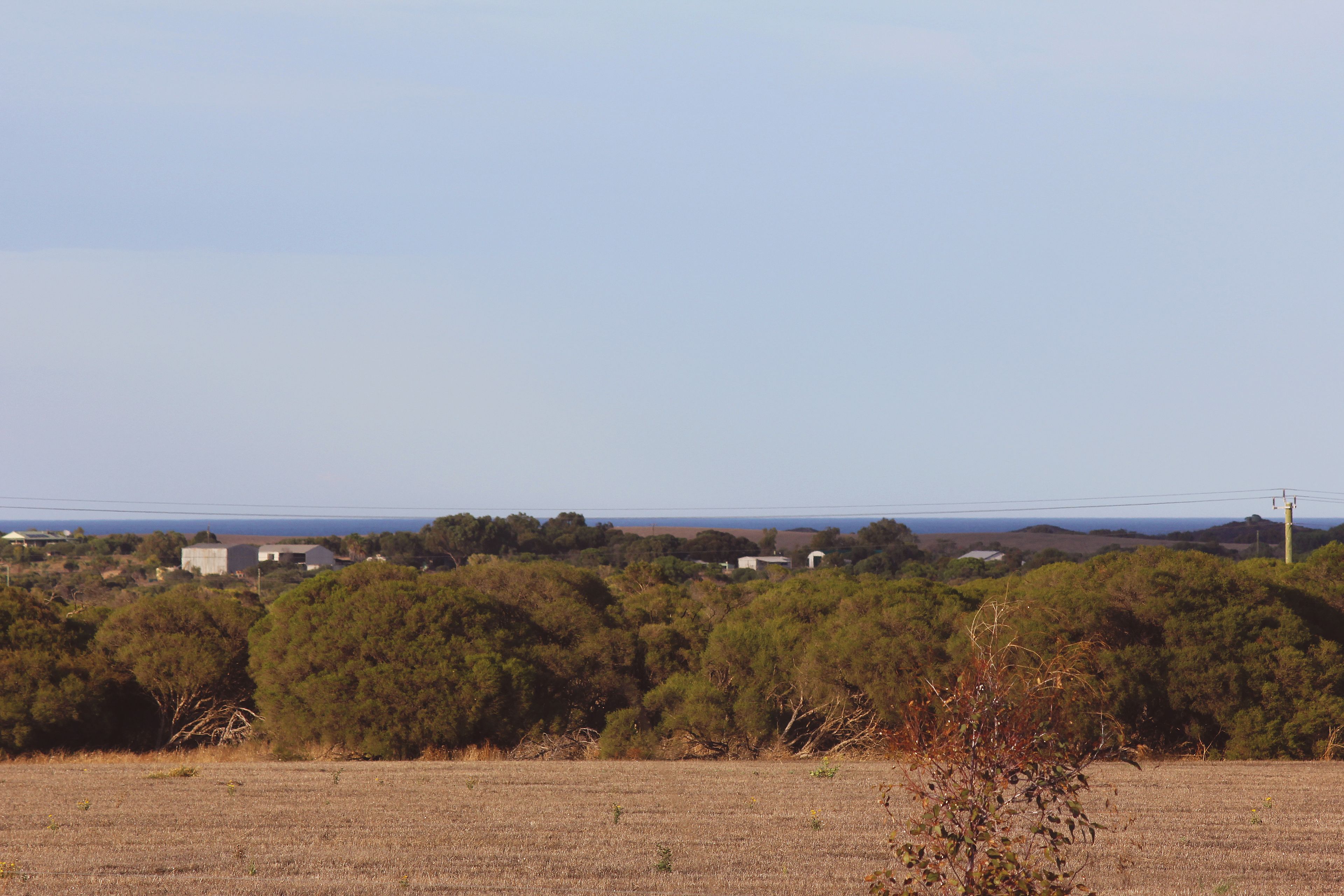 Lot 116 Padbury Road, Bookara, WA 6525