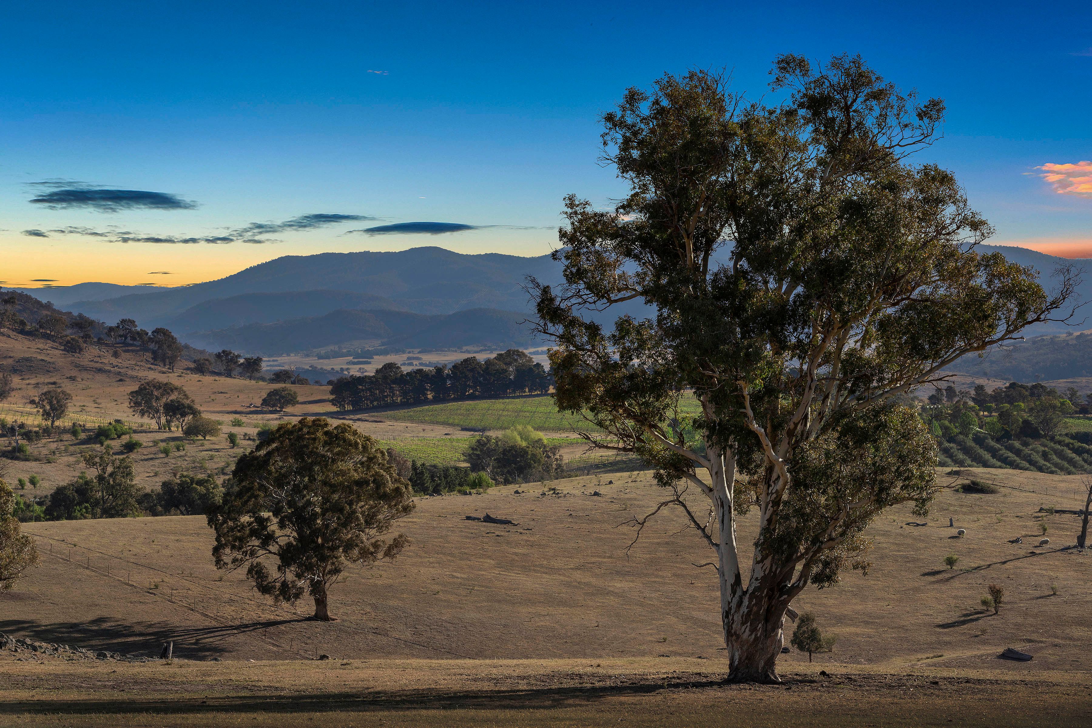 Lot 2 66 Brooklands Road, Wallaroo, NSW 2618