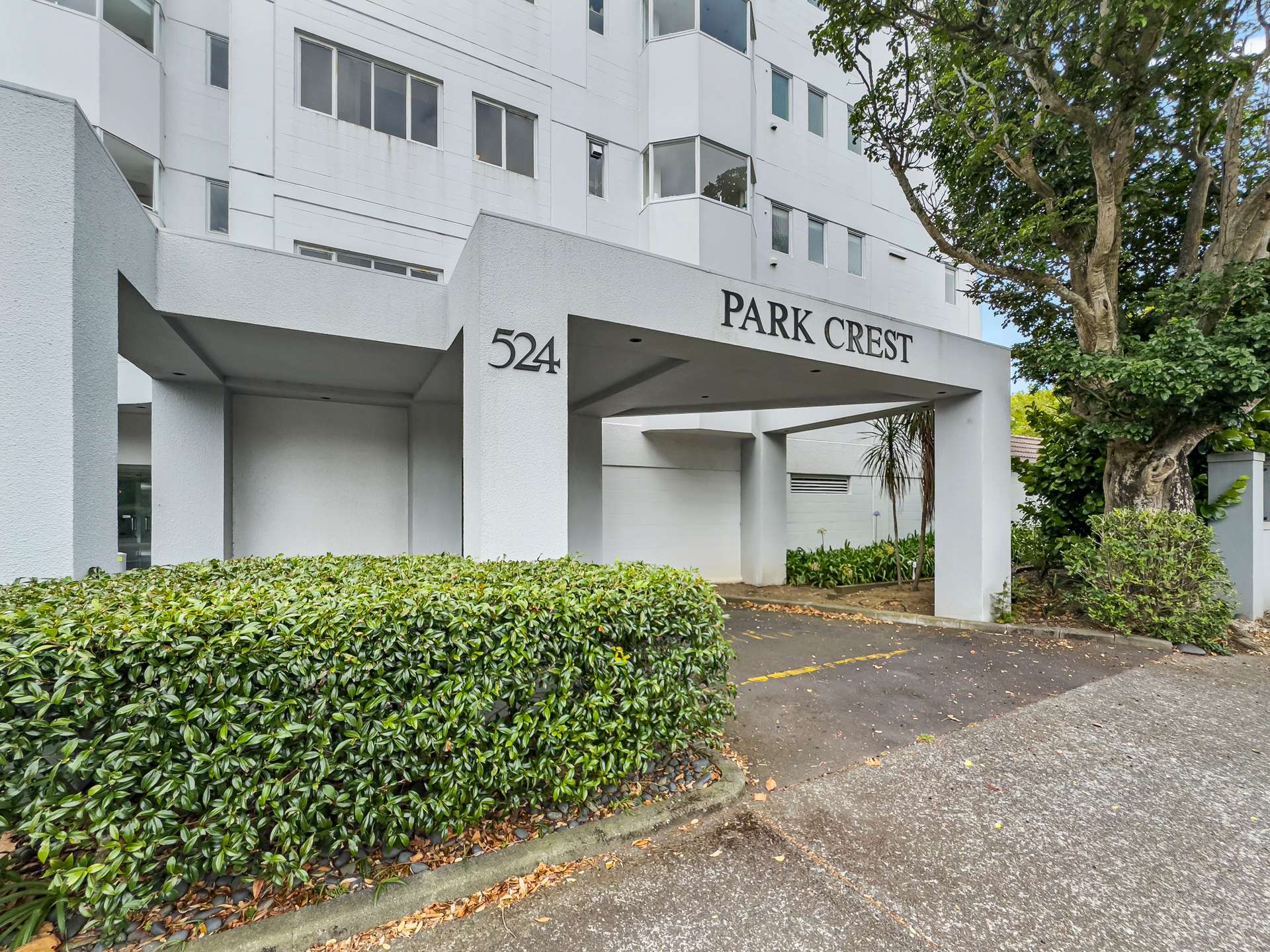 3A/524 Remuera Road photo 18
