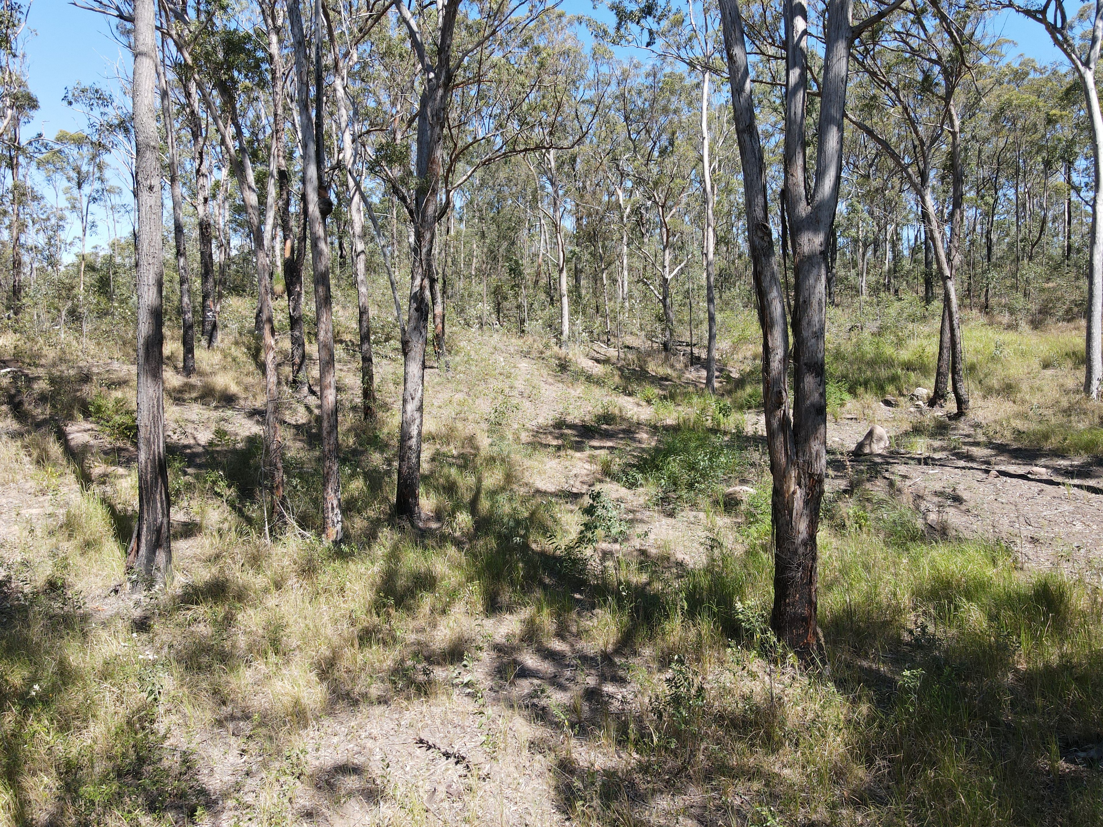 428 Bruxner Road — photo 17 of 18