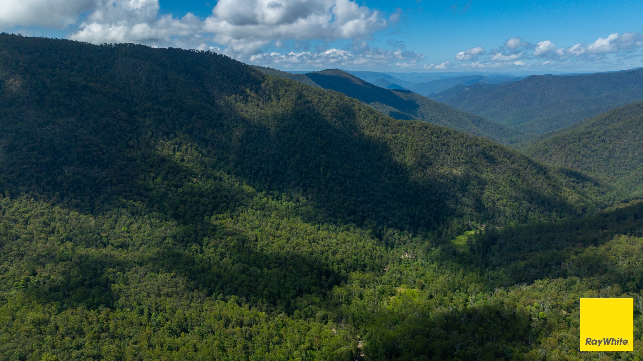 Lower Creek, NSW 2440