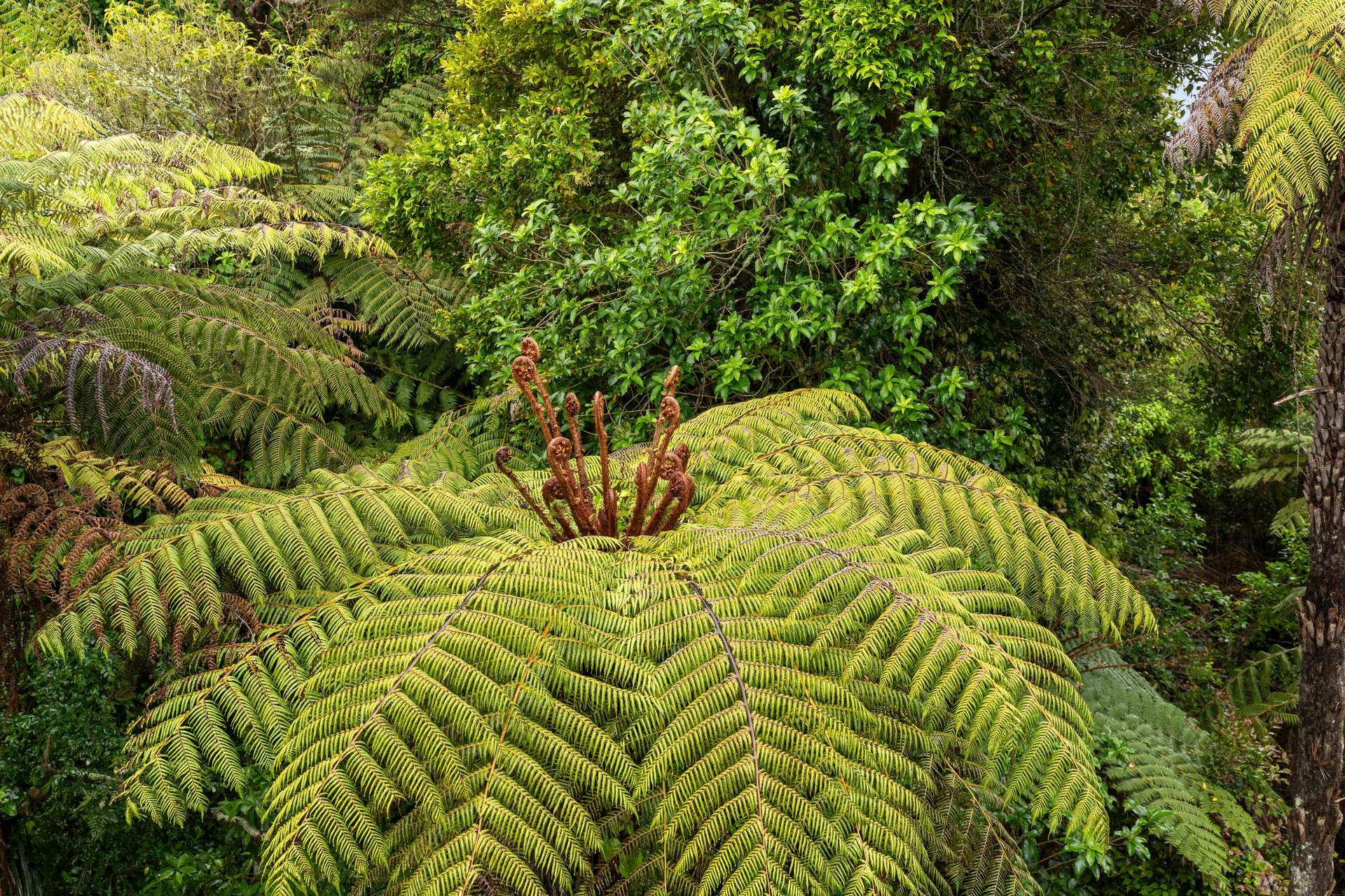 2/311 Rangatira Road photo 15