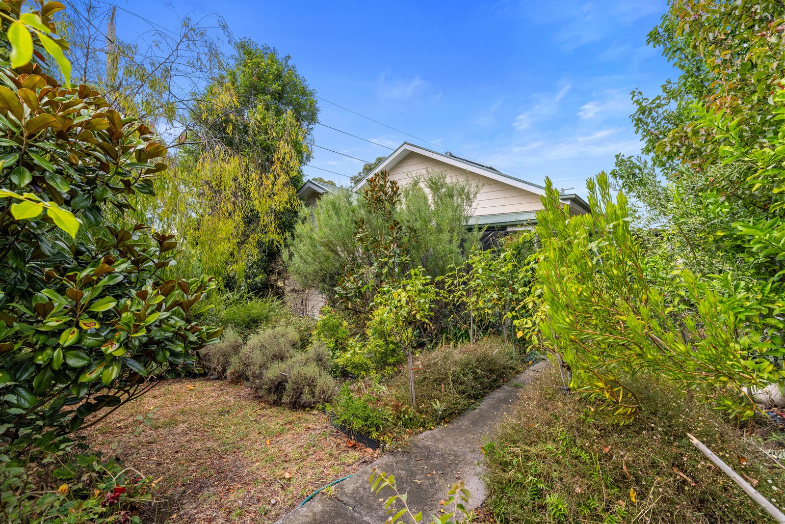 56 Jeffrey Street, Leongatha, VIC 3953